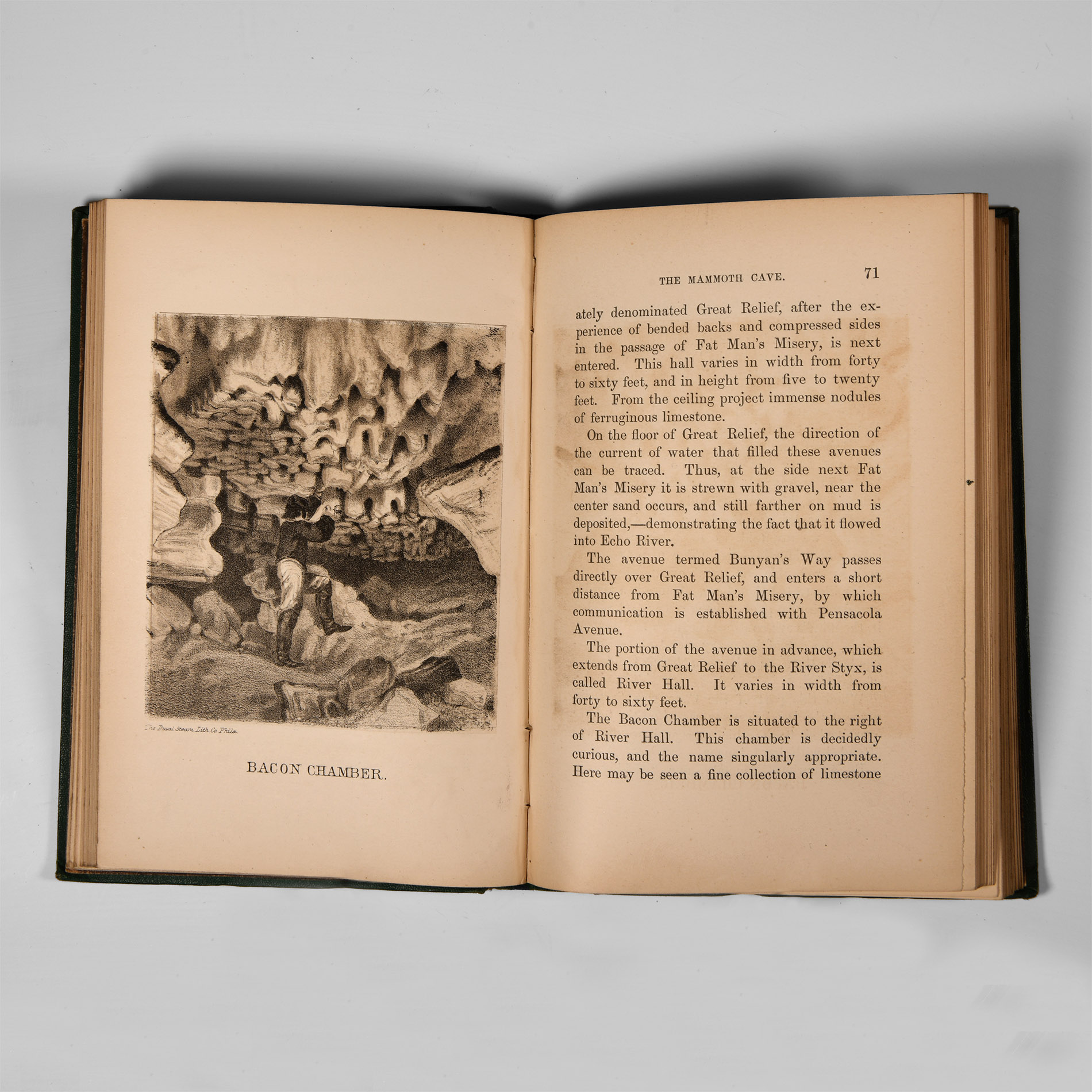 Natural History Books - Forwood - Historical and Descriptive Narrative of the Mammoth Cave