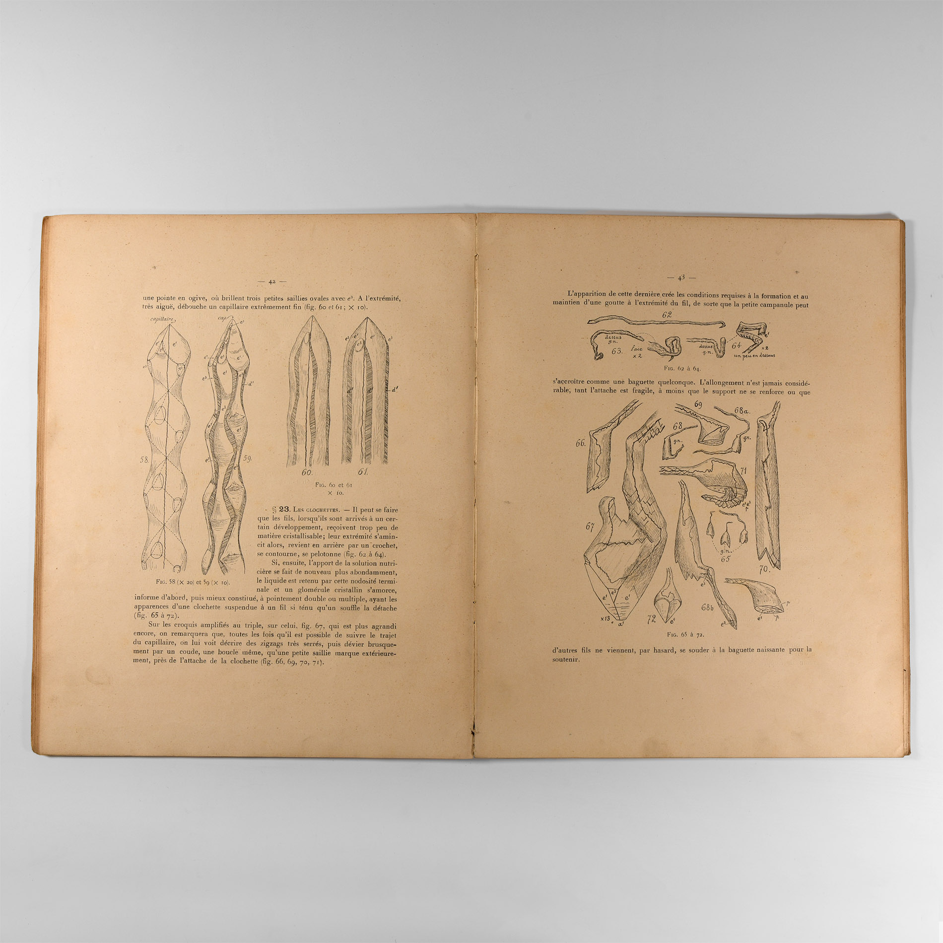 Natural History Books - Prinz - Les Cristallisations des Grottes de Belgique