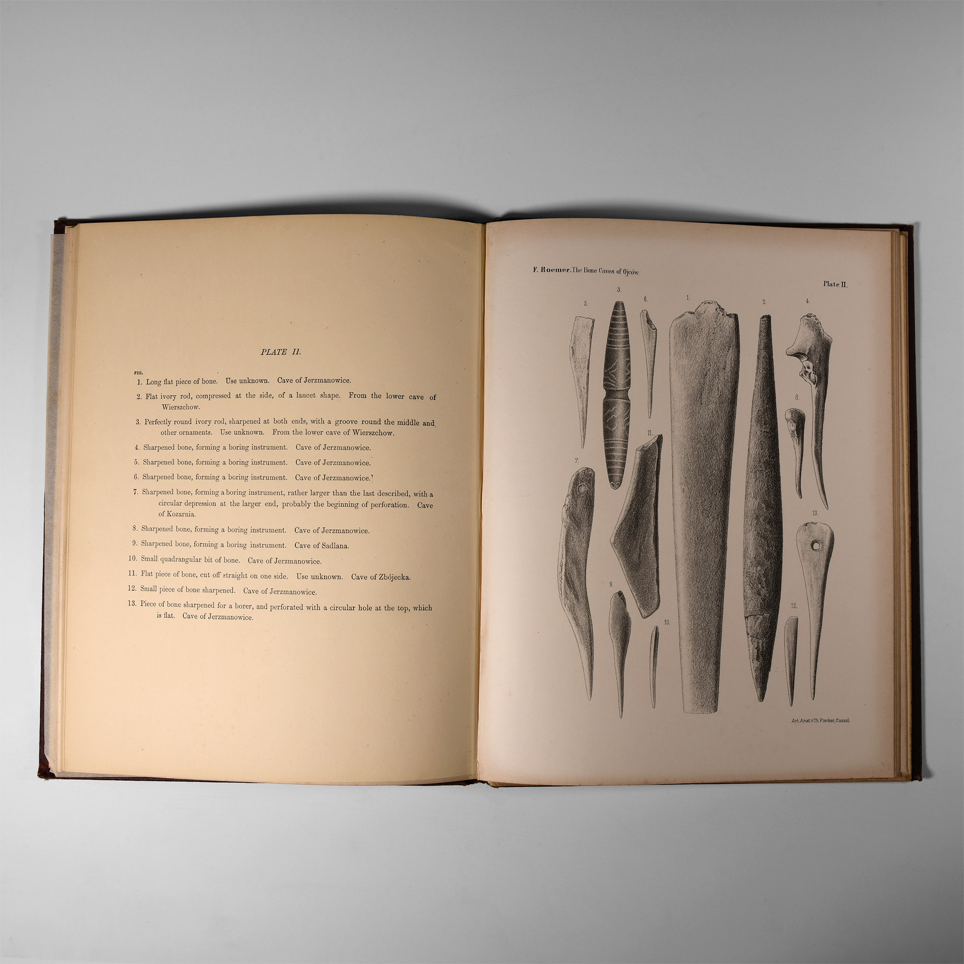 Natural History Books - Romer - The Bone Caves of Ojcow
