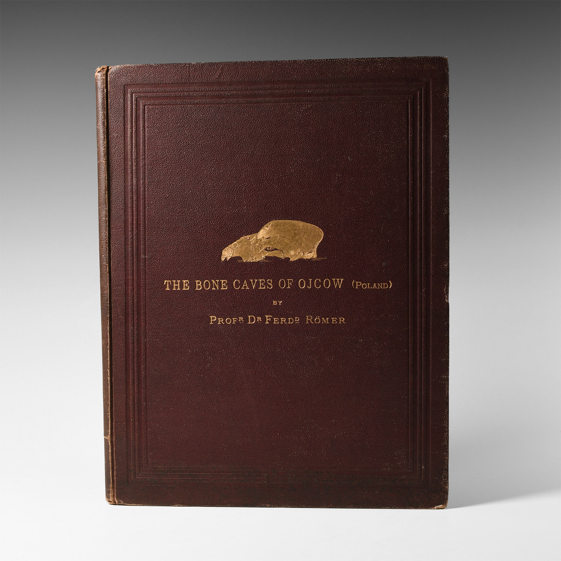 Natural History Books - Romer - The Bone Caves of Ojcow