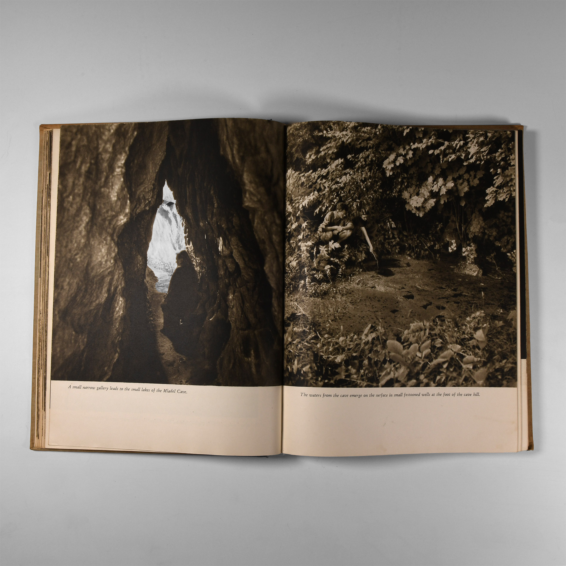 Natural History Books - Kunsky - Homes of Primeval Man