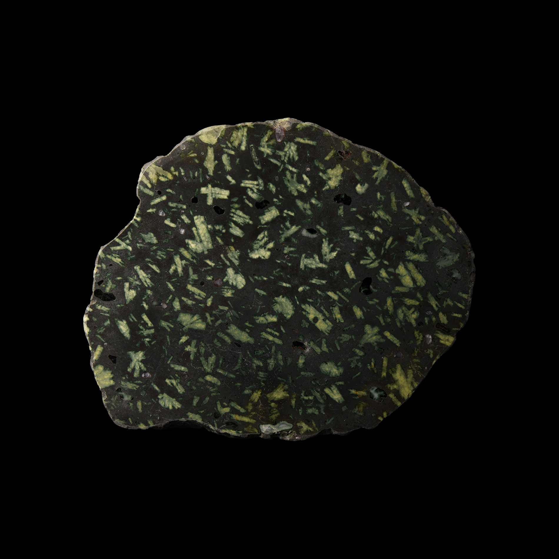 Natural History - 'Spartan Basalt' Polished Green Porphyry Section