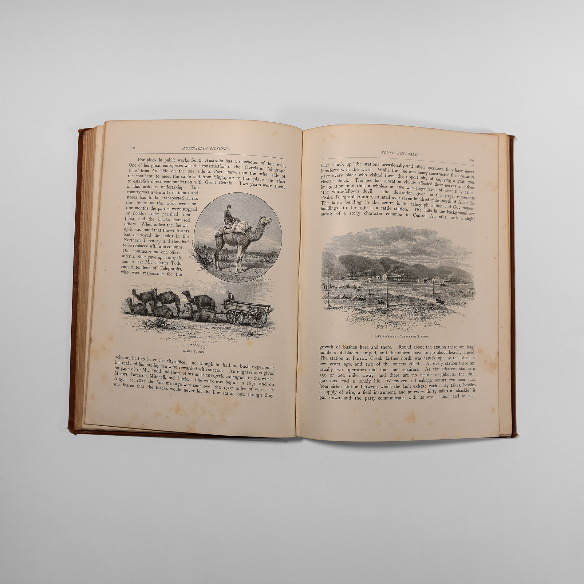 Natural History Books - Willoughby - Australian Pictures