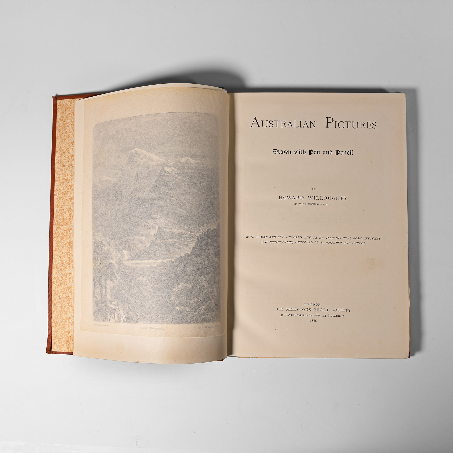 Natural History Books - Willoughby - Australian Pictures