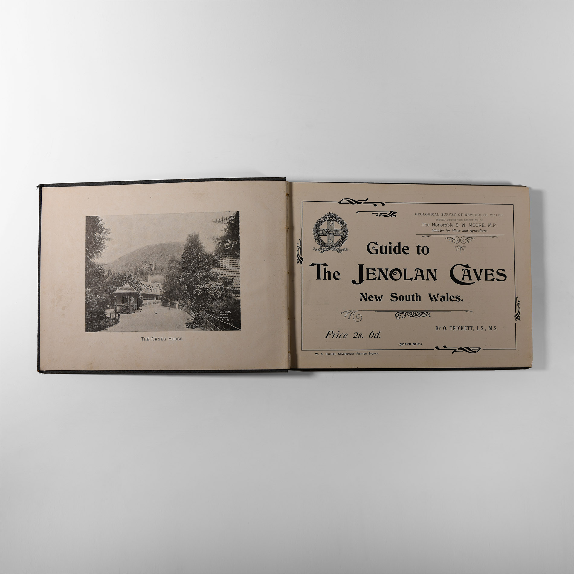 Natural History Books - Trickett - Limestone Caverns of NSW