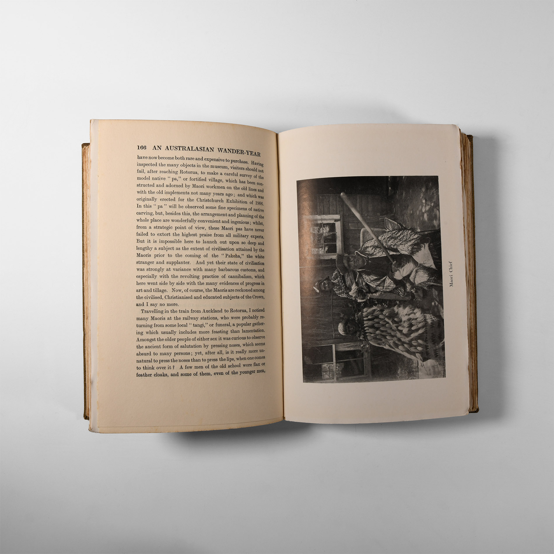 Natural History Books - Vaughan - An Australian Wander-Year