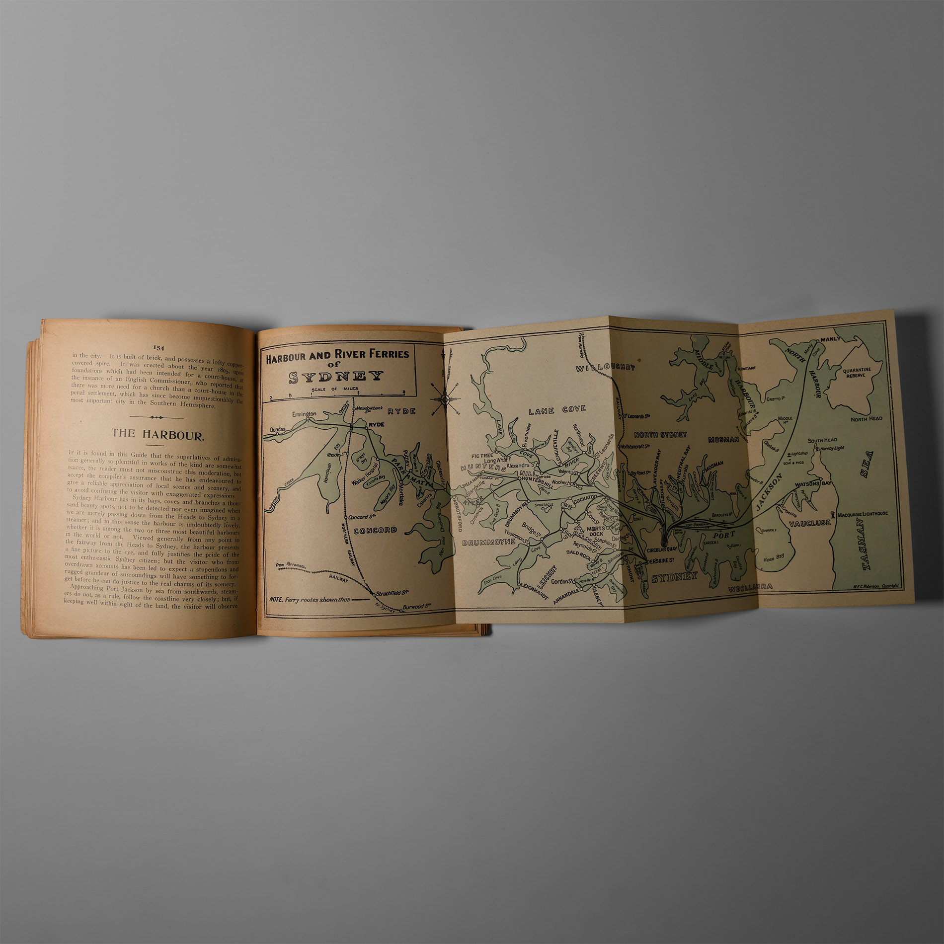 Natural History Books - Webb - Guide to the City of Sydney