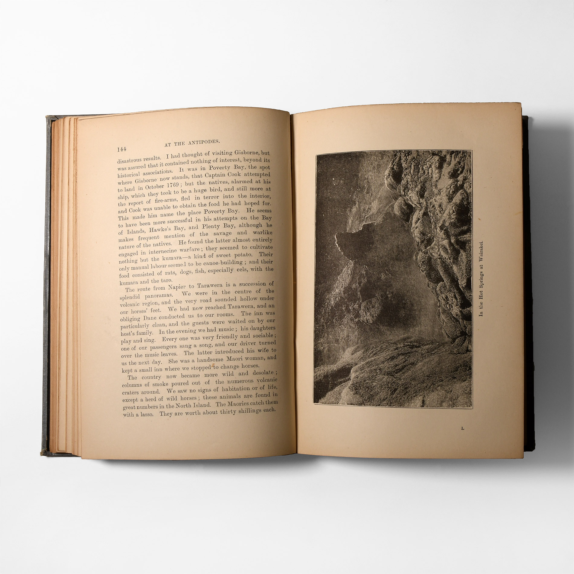 Natural History Books - Verschuur - At the Antipodes