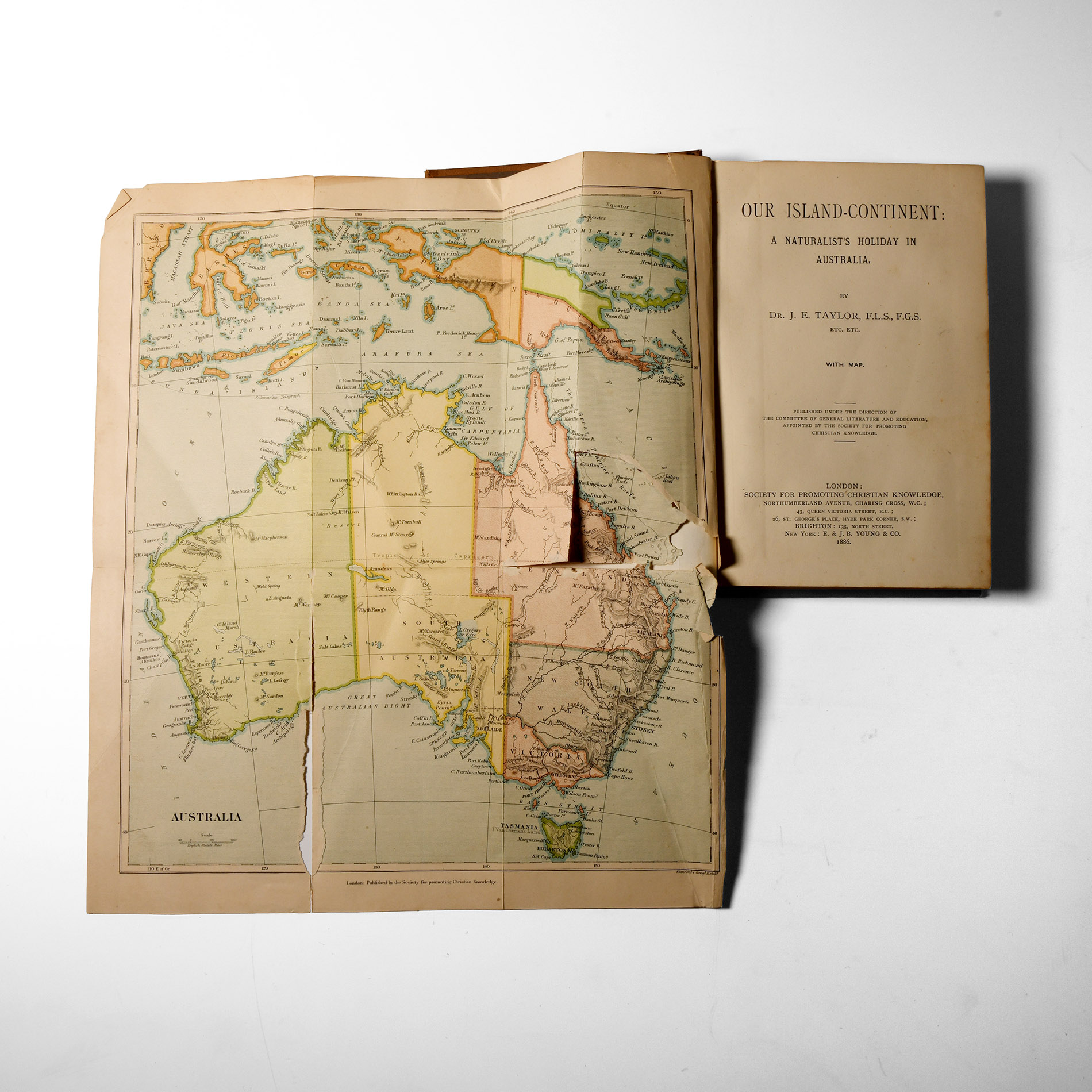 Natural History Books - Taylor - Our Island Continent