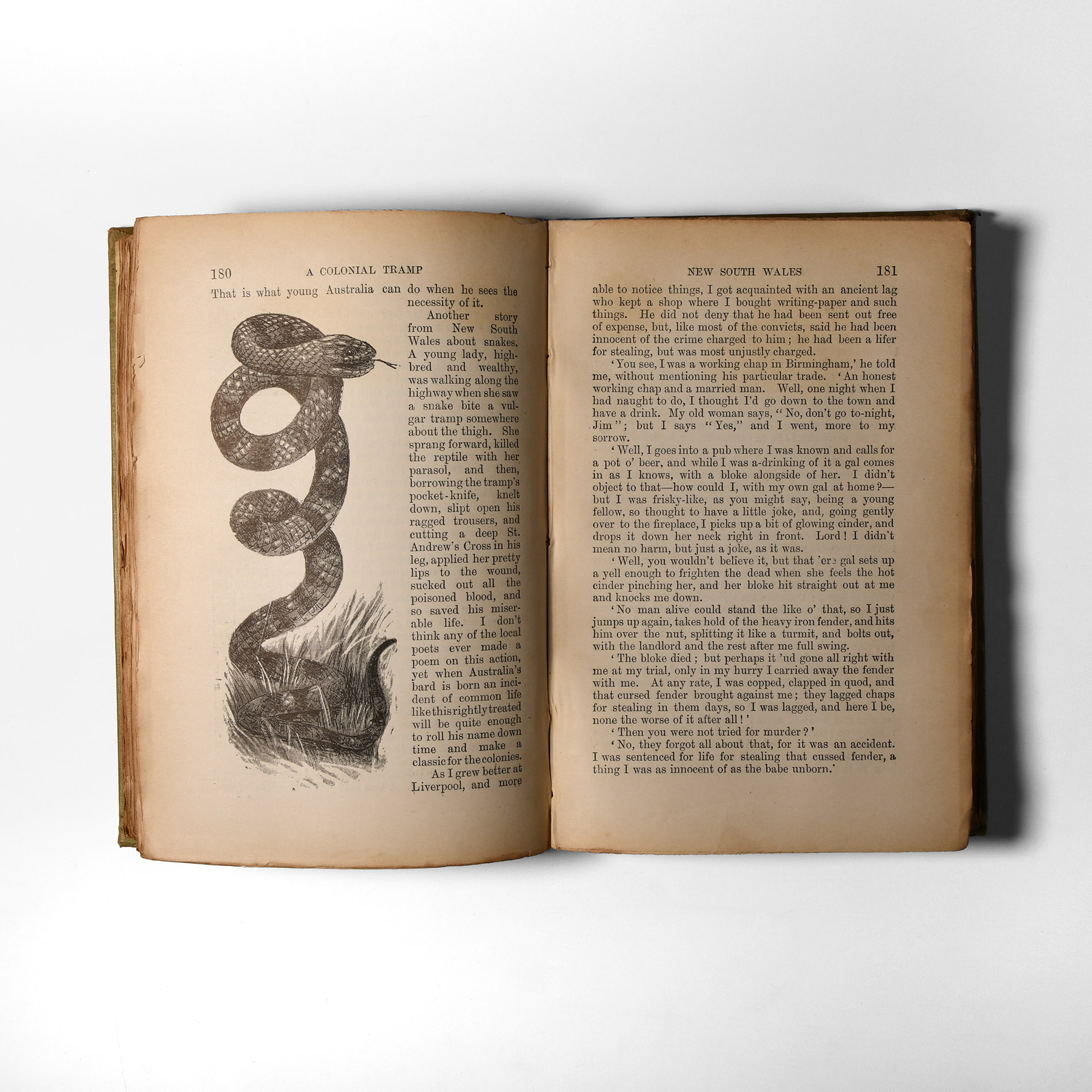 Natural History Books - Nisbet - A Colonial Tramp