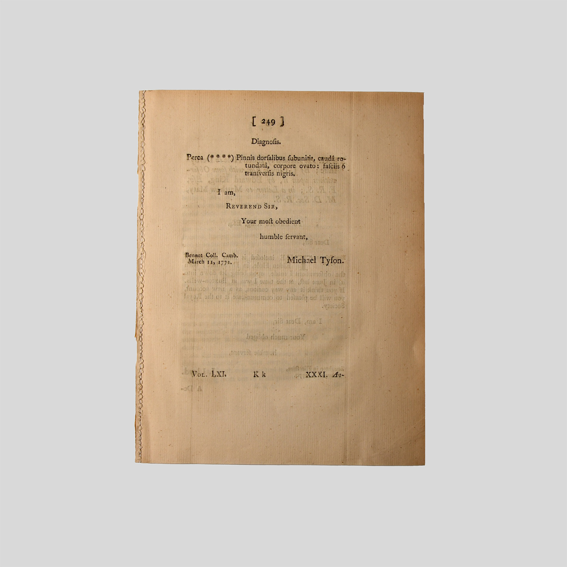 Natural History Books - Lloyd / King - Description of Elden Hole in Derbyshire