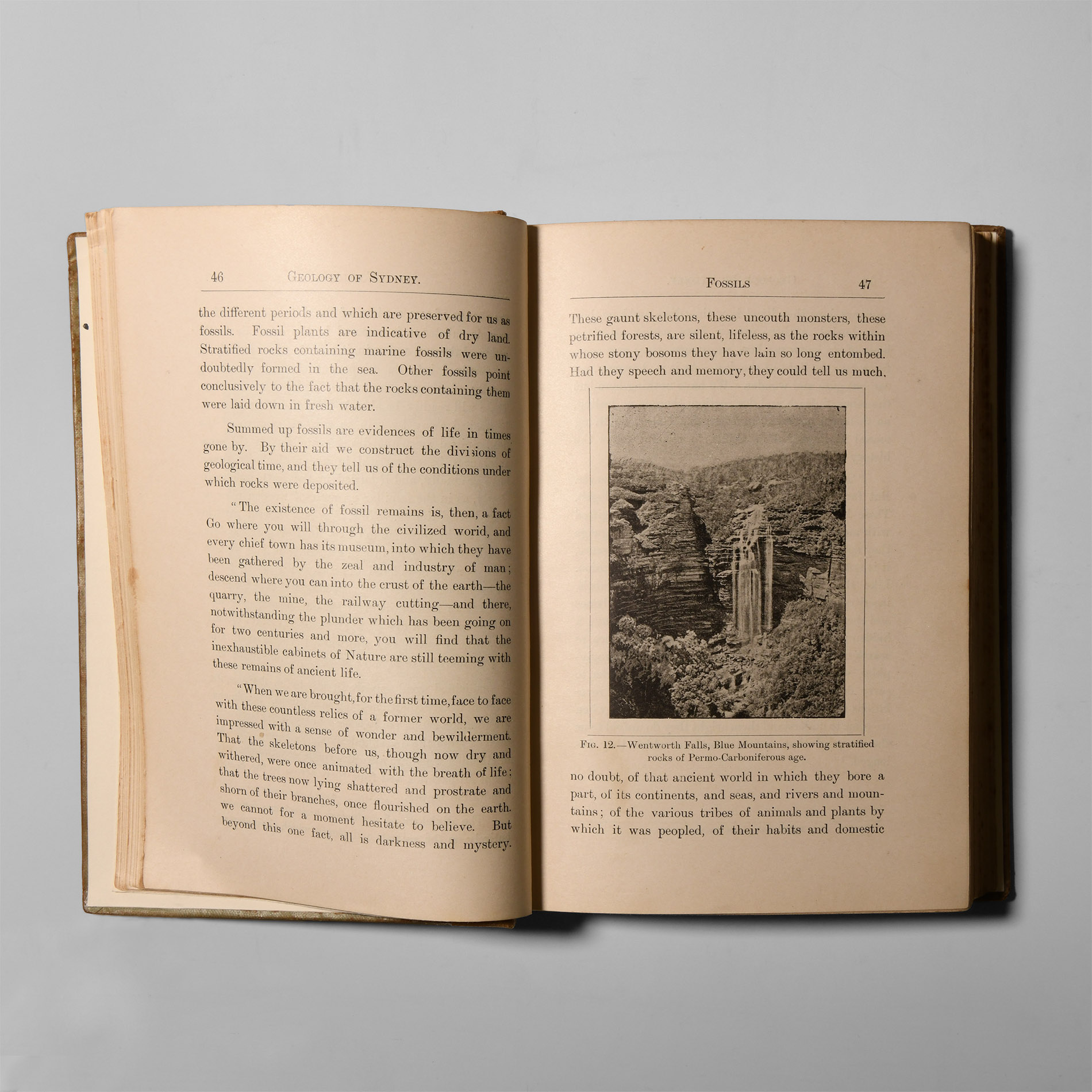 Natural History Books - Curran - Australia, Geology of Sydney and the Blue Mountains