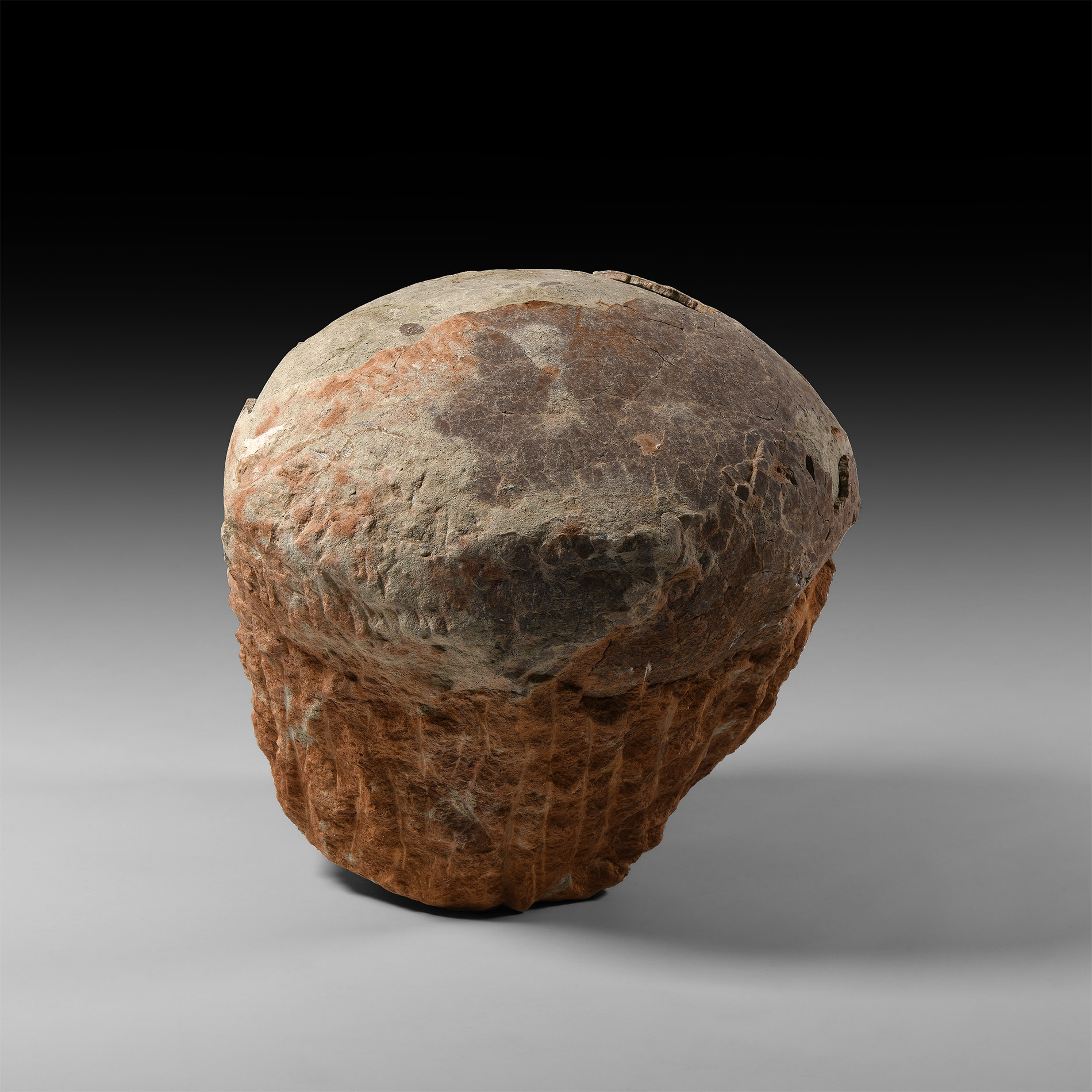 Natural History - Hadrosaur Dinosaur Egg
