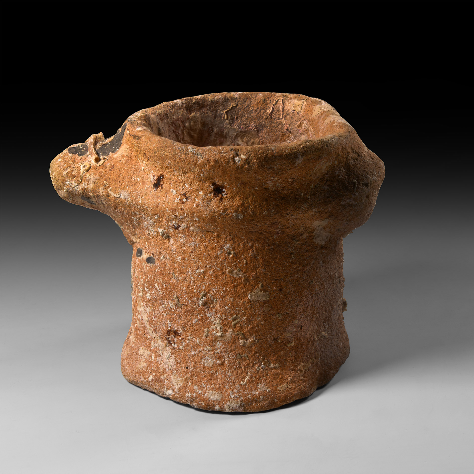 Greek Cypriot Amphora Neck