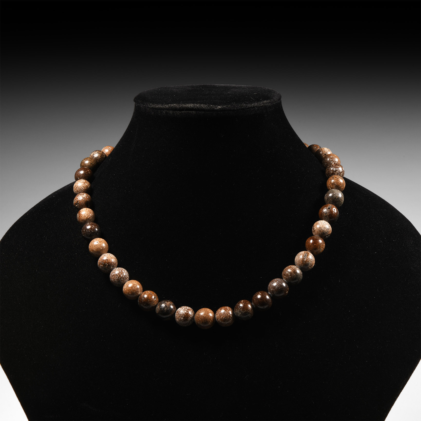 Natural History - Plesiosaur Bone Beads