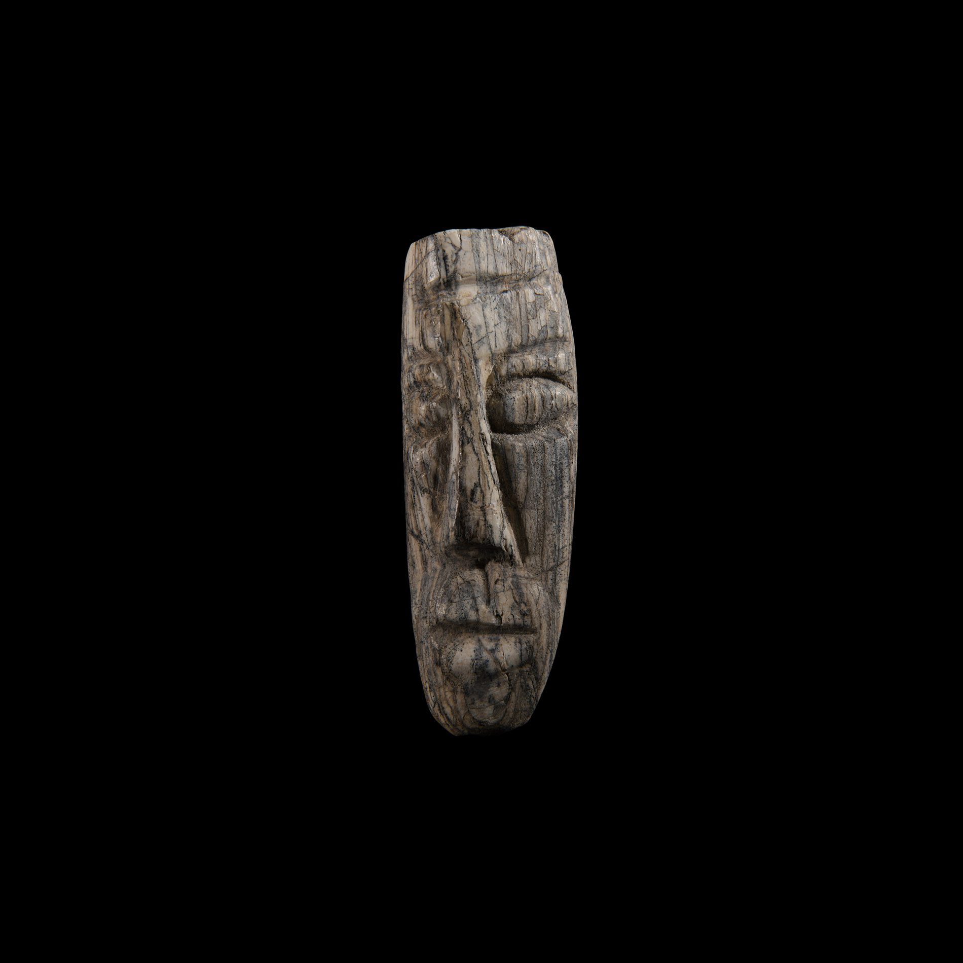 Natural History - Mastodon Tusk Carving