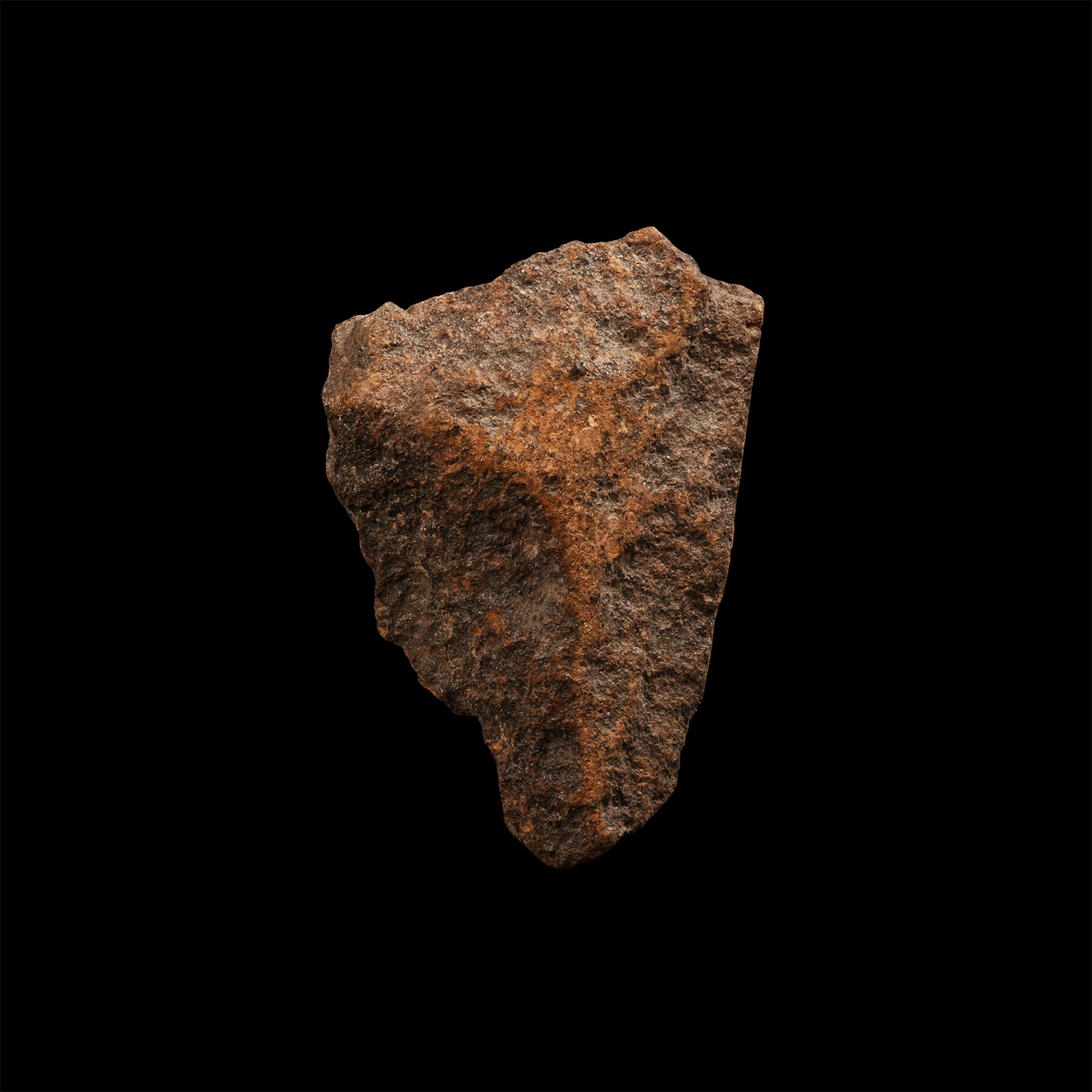 Natural History - Nantan Meteorite
