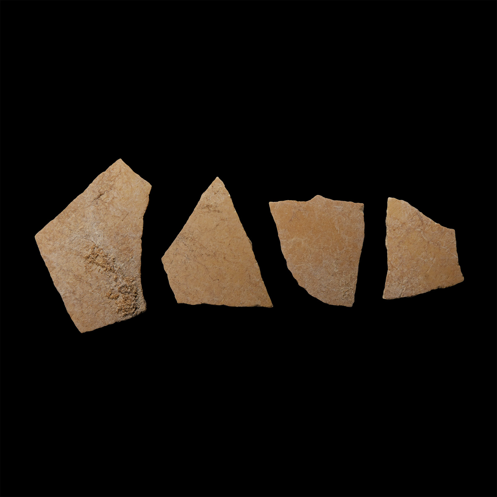 Natural History - Giant Elephant Bird Eggshell Group