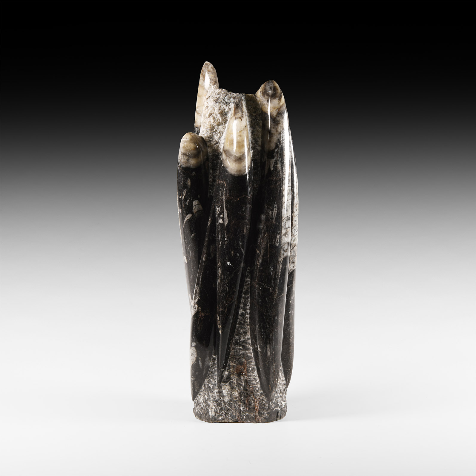 Natural History - Polished Orthoceras Fossil Tower