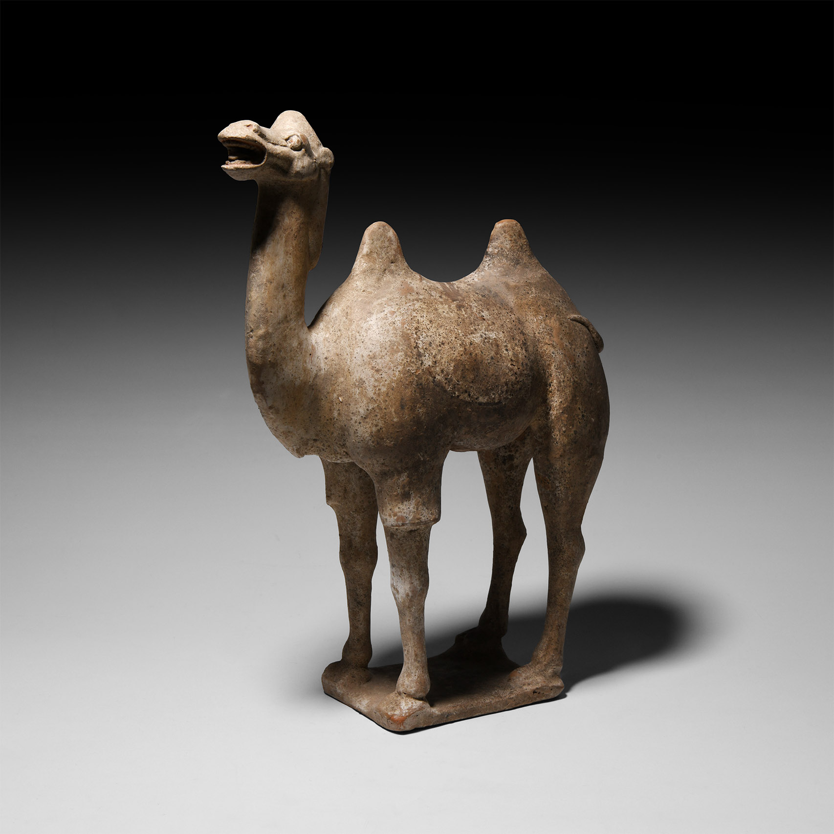 Chinese Tang Standing Camel
