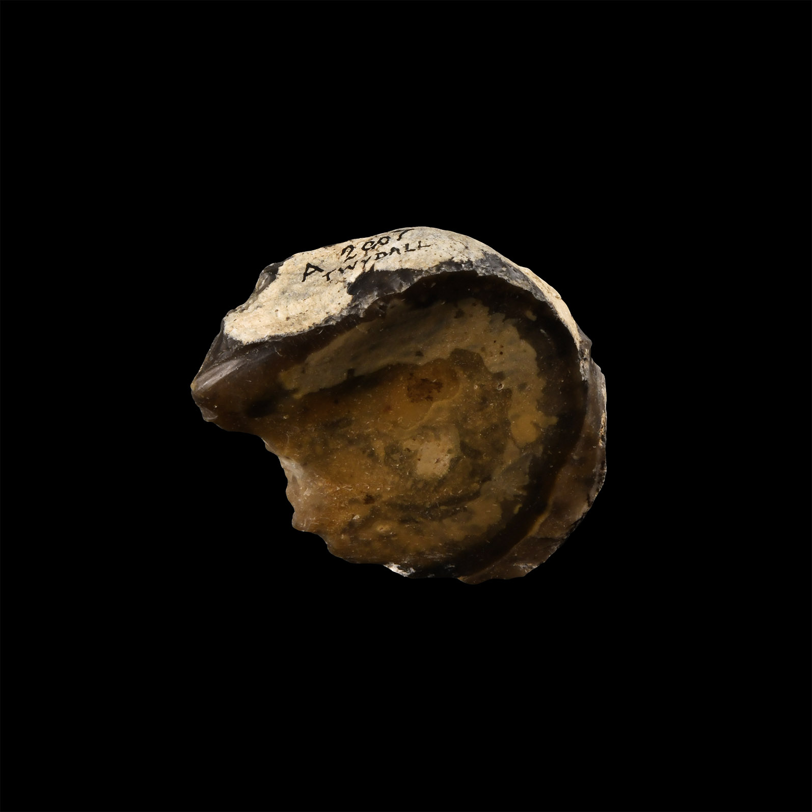 Stone Age Twydall Flint Implement with Convex Retouching