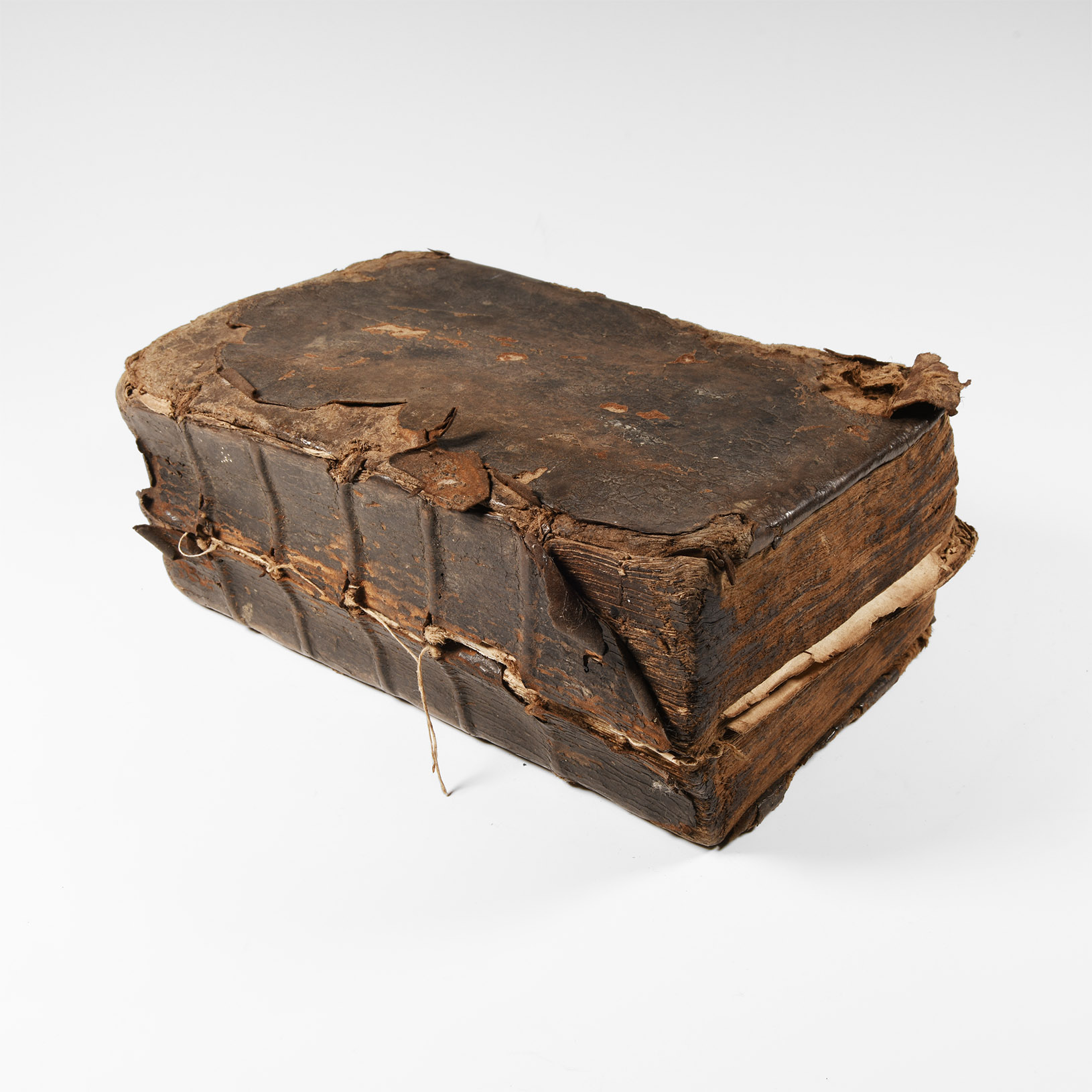 Books - Welsh Language Bible