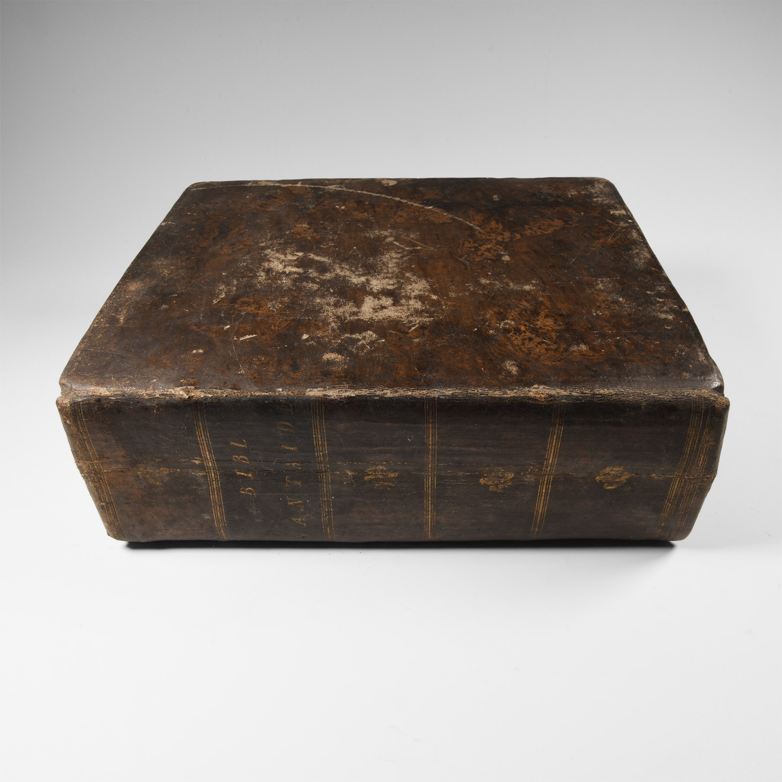 Books - Welsh Language Bible