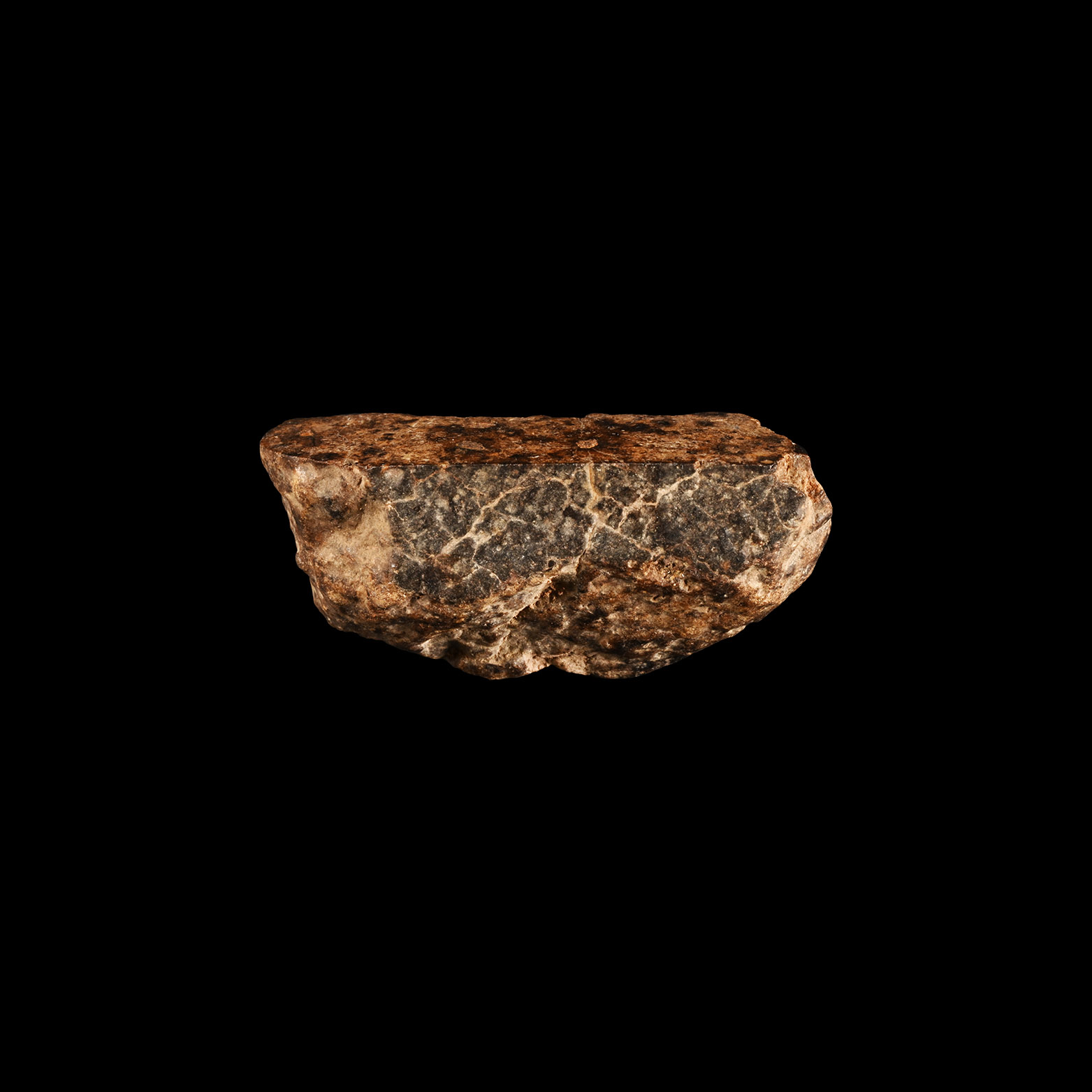 Natural History - Nantan Meteorite with Polished Section
