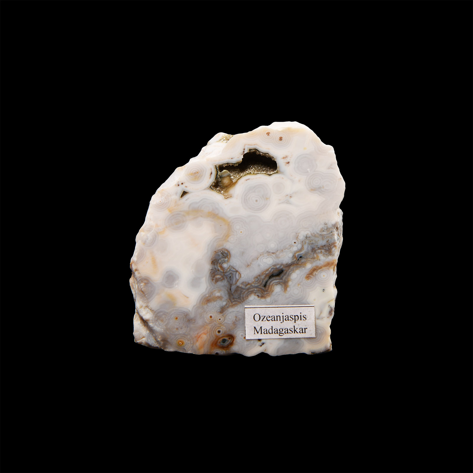 Natural History - Ocean Jasper Mineral Specimen