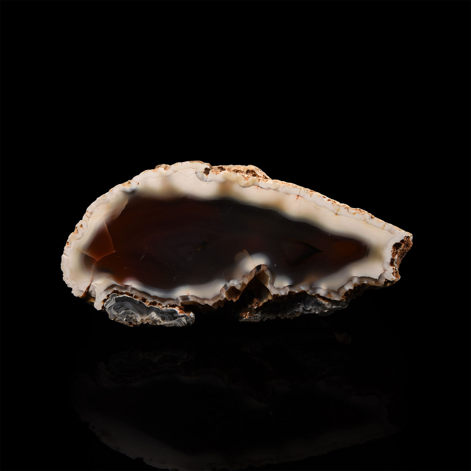 Natural History - Polished Agate Mineral Specimen