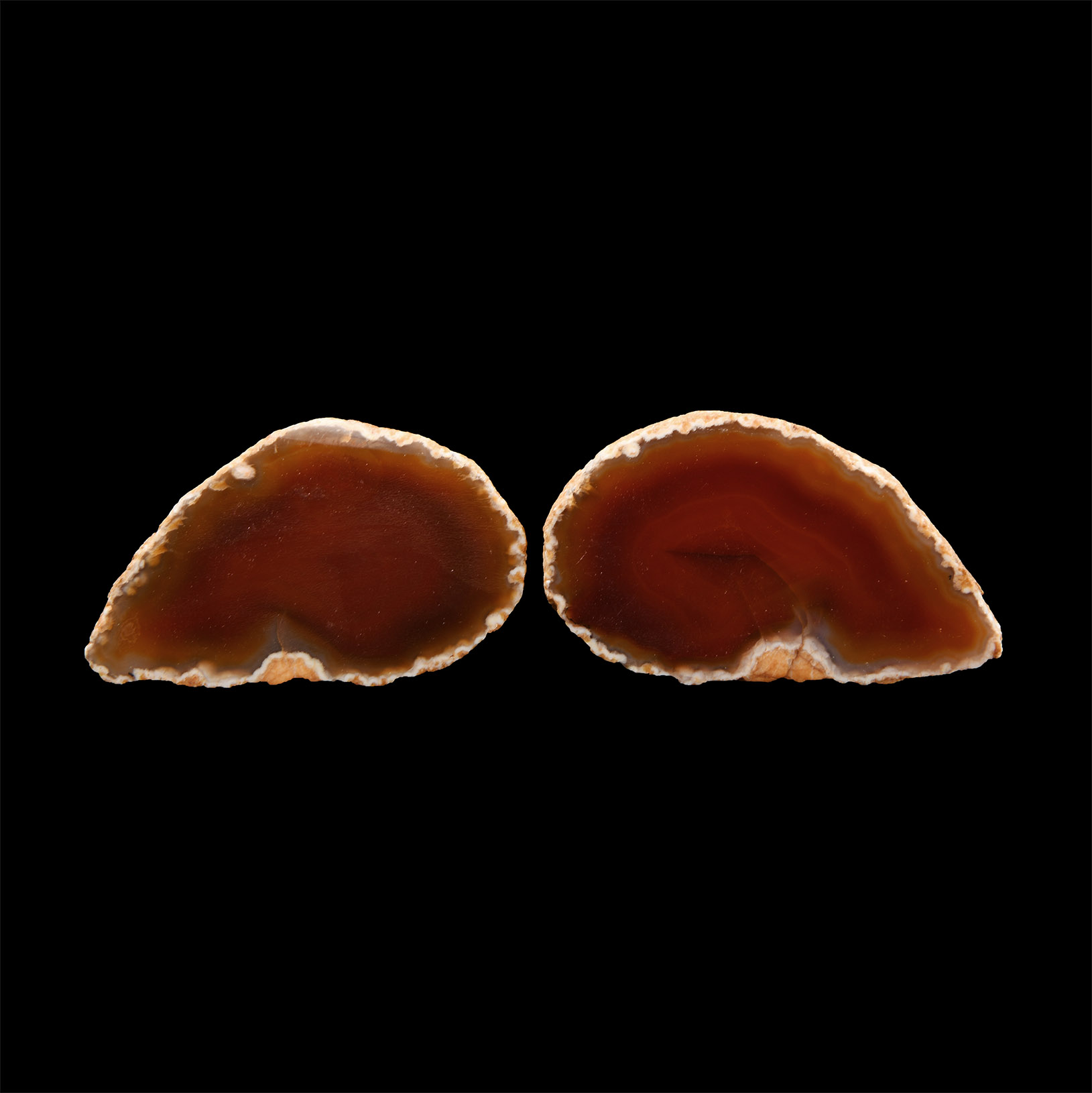 Natural History - Cut and Polished Agate Mineral Specimen Pair
