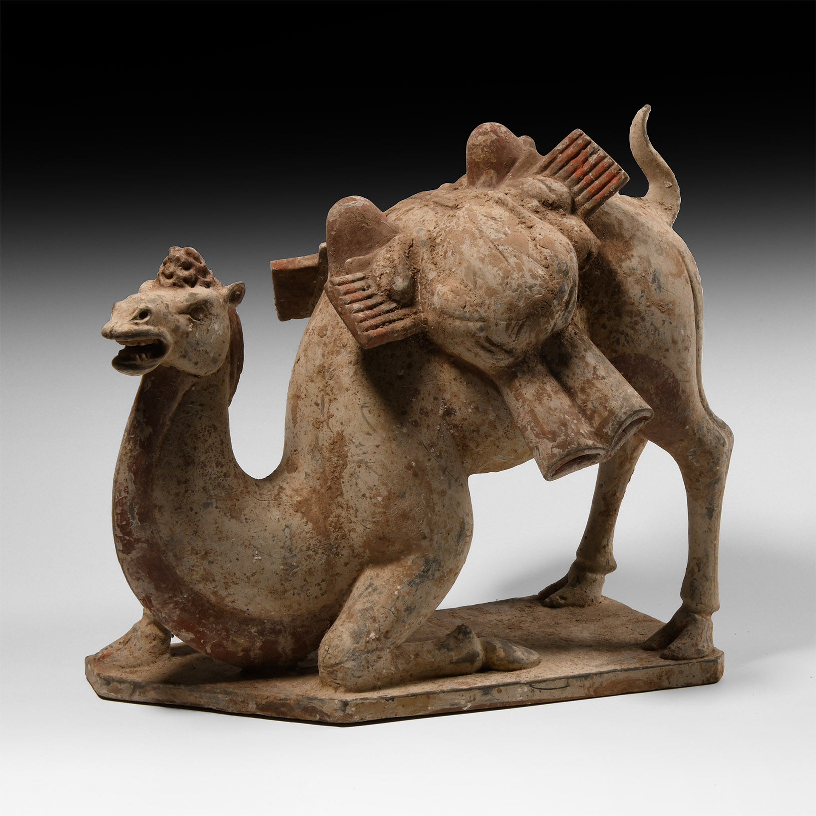 Chinese Tang Kneeling Camel