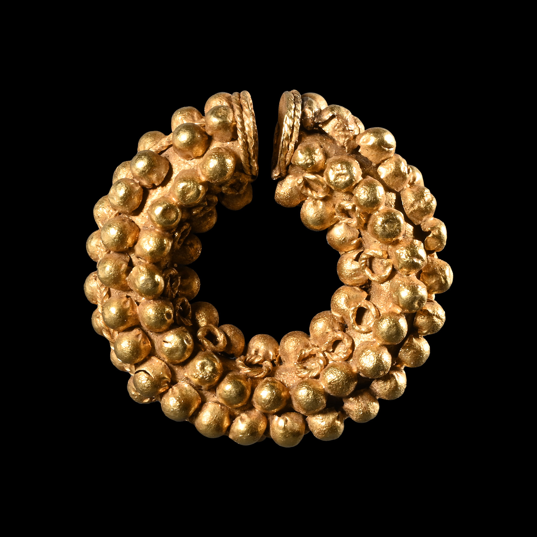 Etruscan Gold Leech Earring