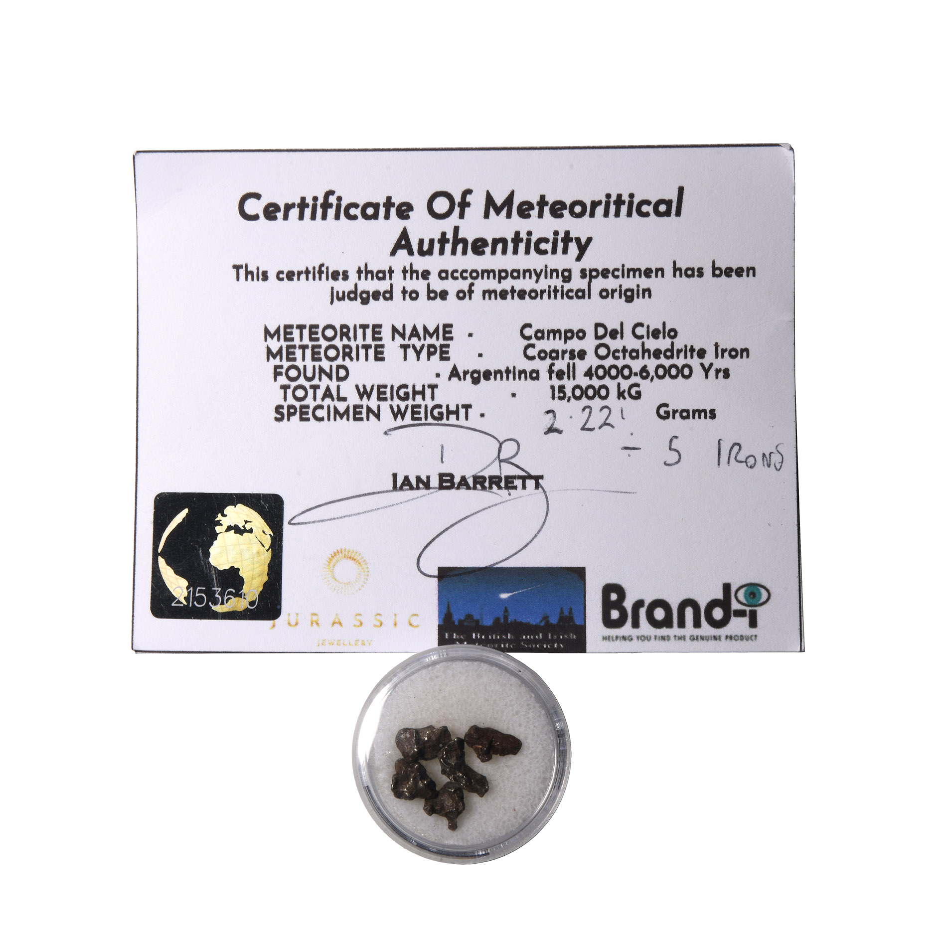 Natural History - Campo Del Cielo Iron Meteorite Collection