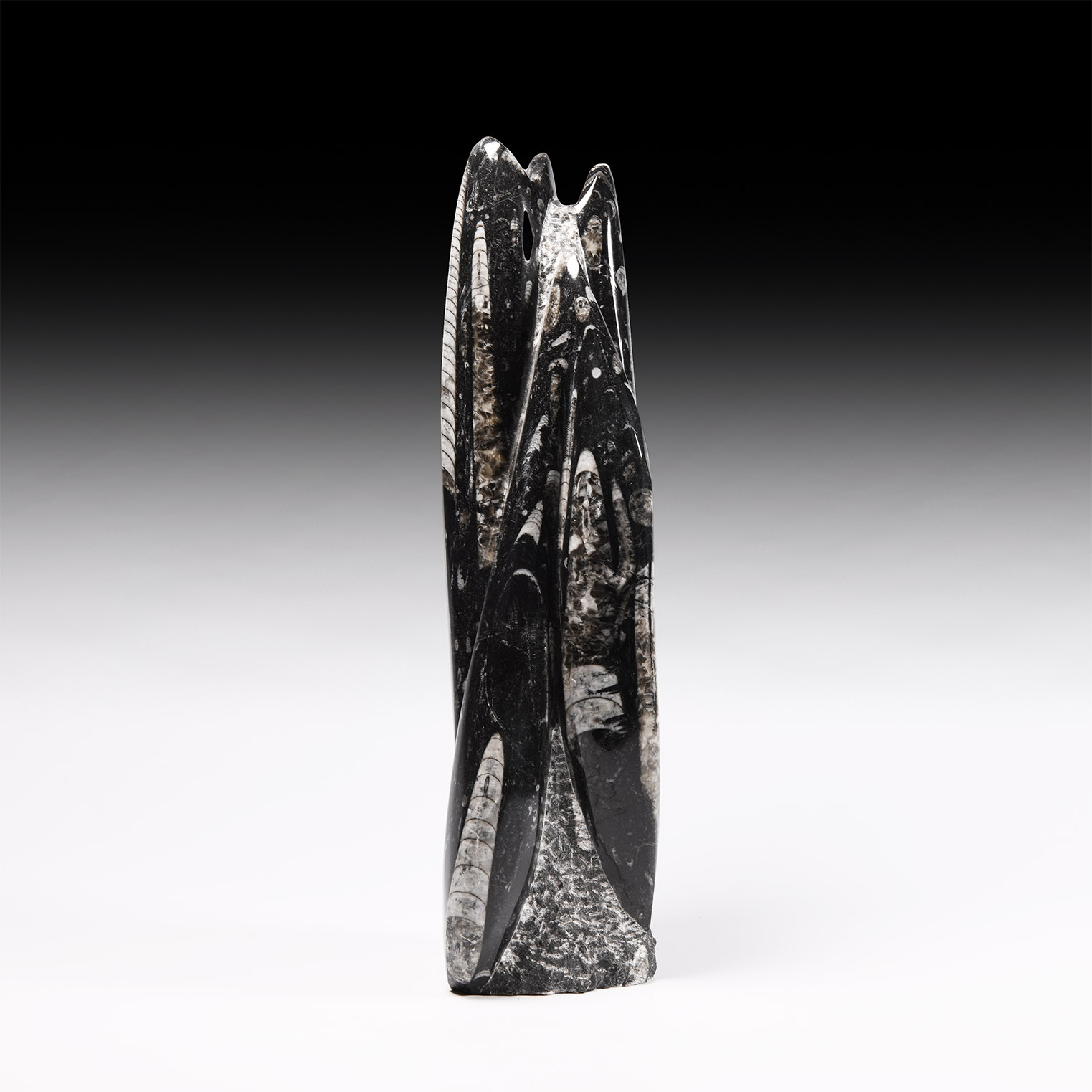 Natural History - Fossil Orthoceras Tower