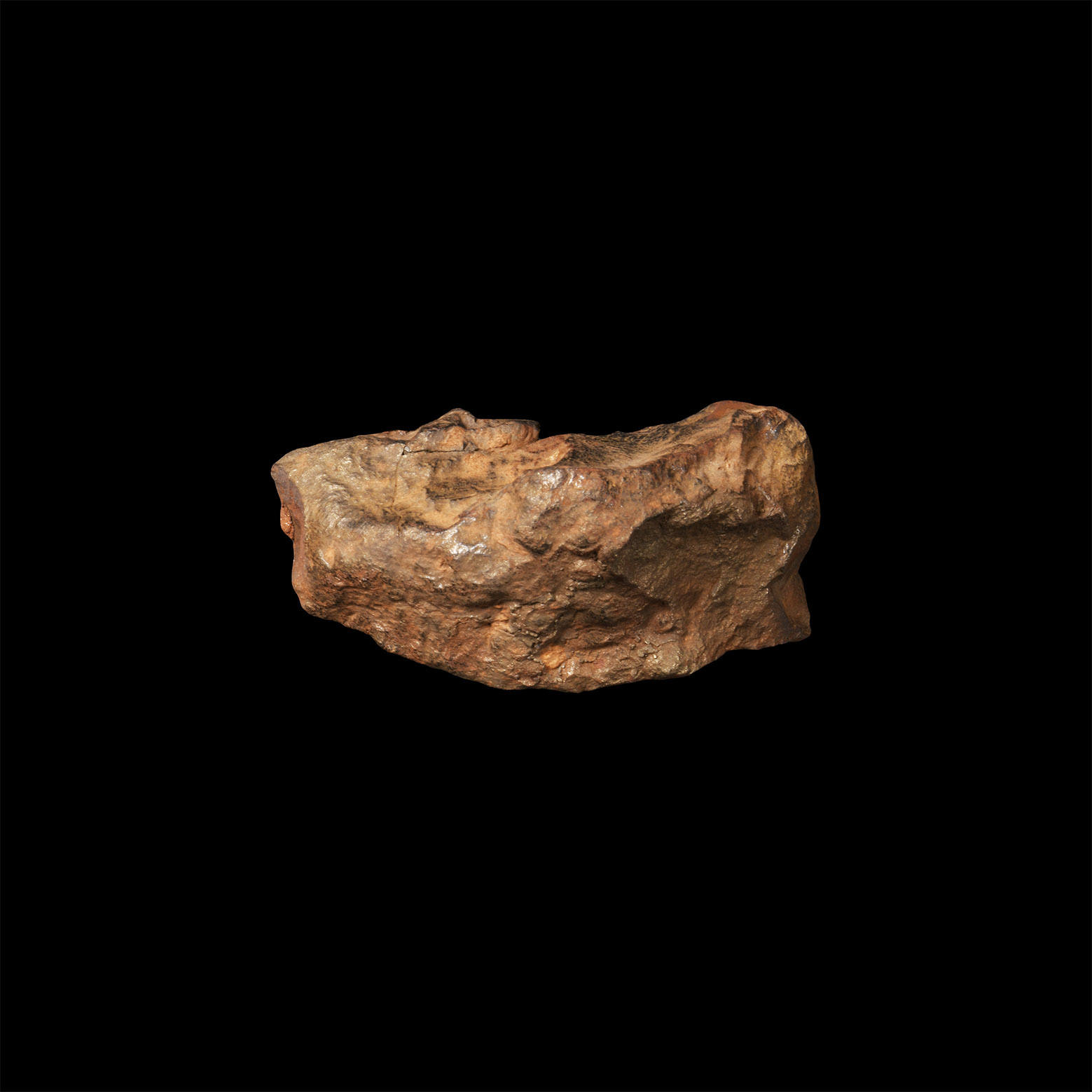 Natural History - Nantan Iron Meteorite