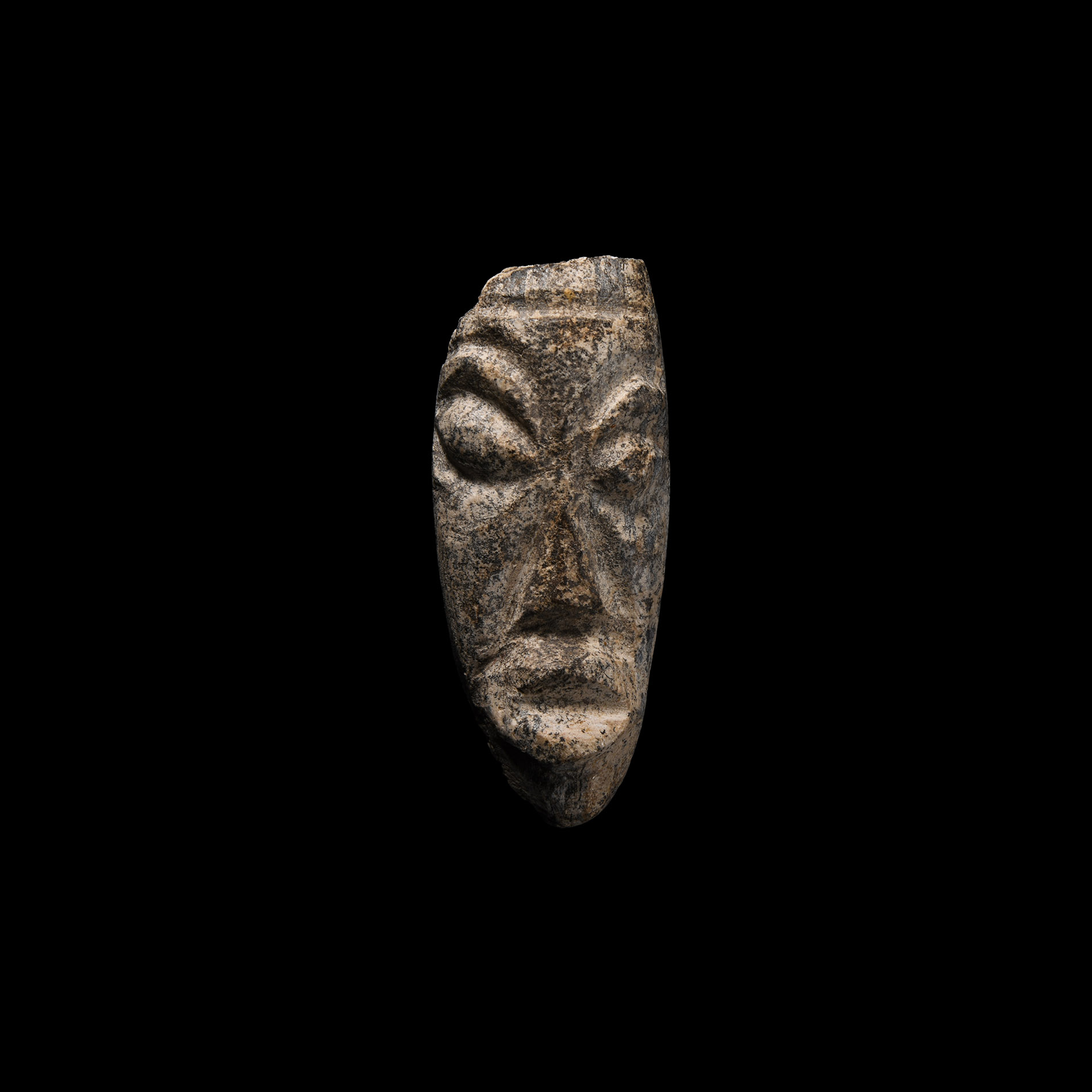 Natural History - Mastodon Fossil Tusk Carving