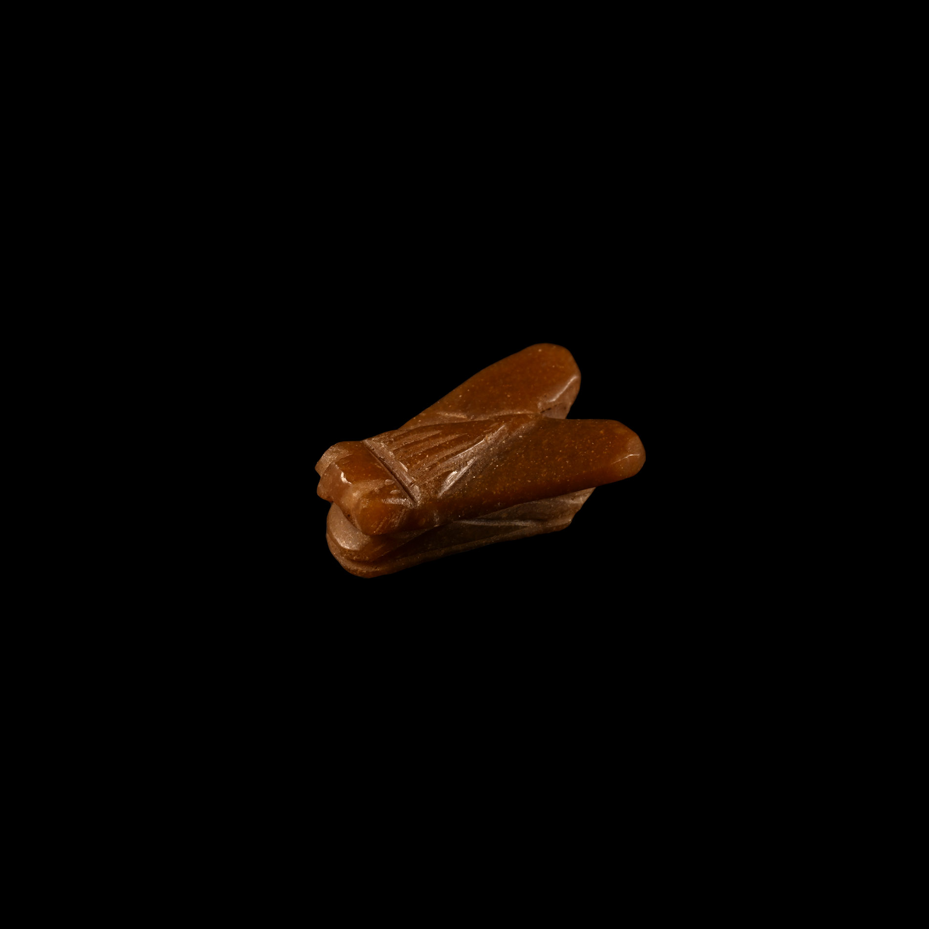 Egyptian Carnelian Fly Amulet