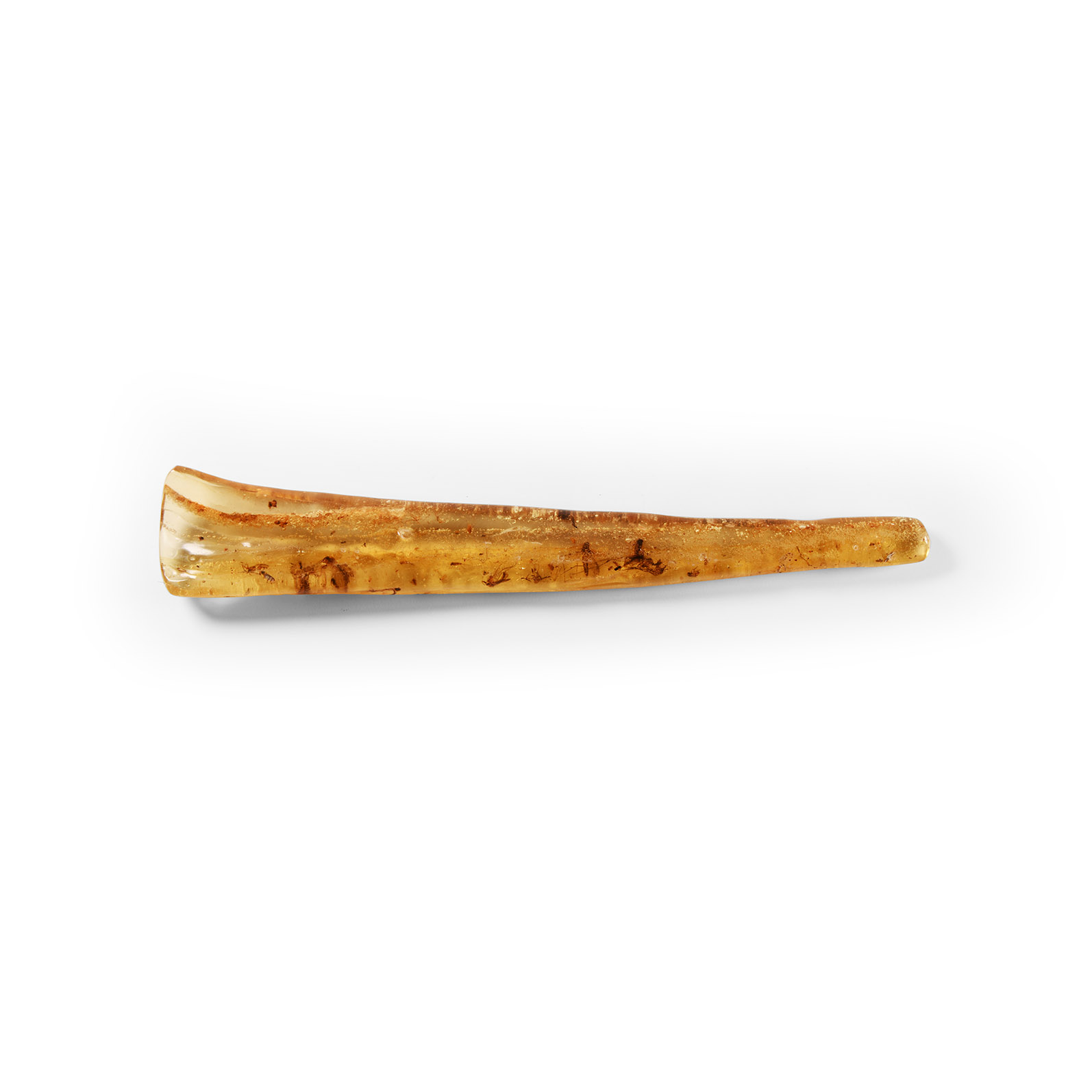 Natural History - Insects in Copal