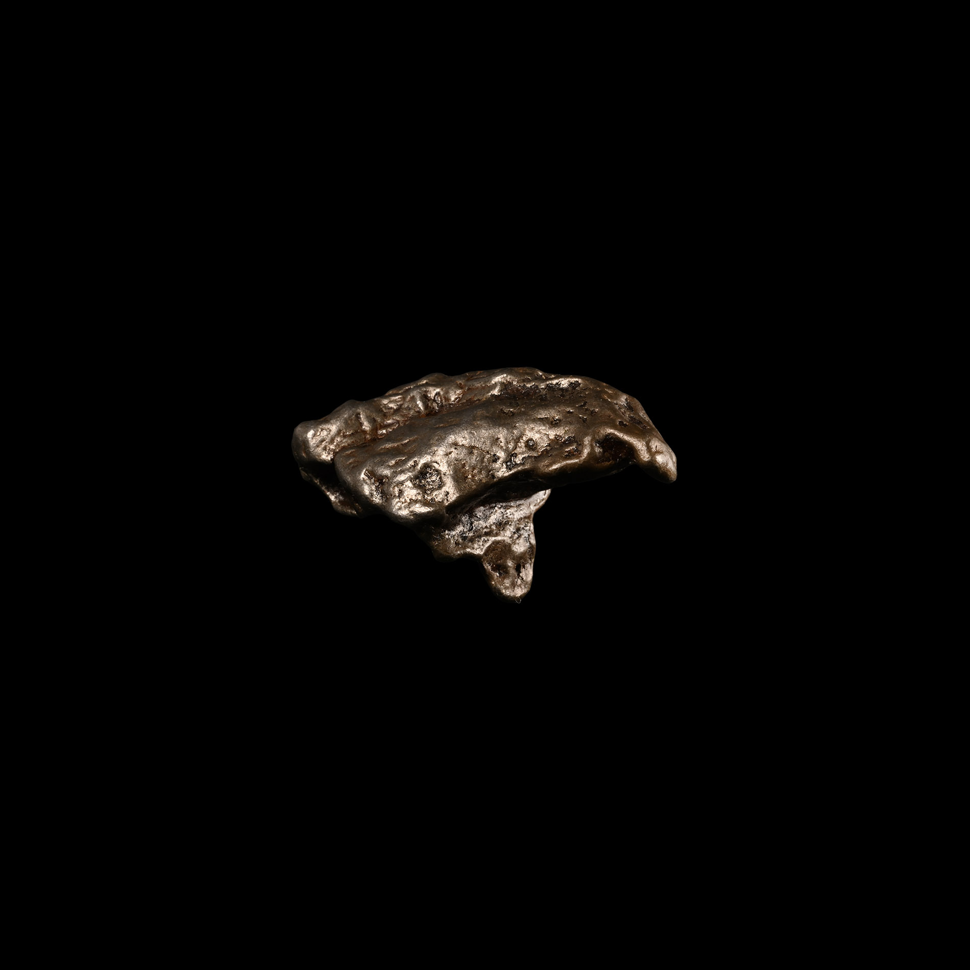Natural History - Sikhote-Alin Meteorite