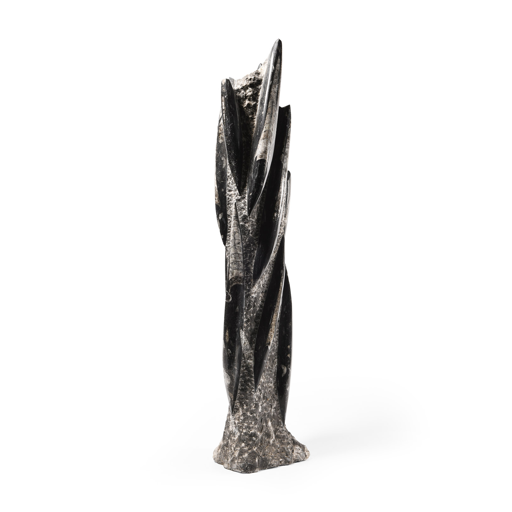Natural History - Polished Orthoceras Tower Display