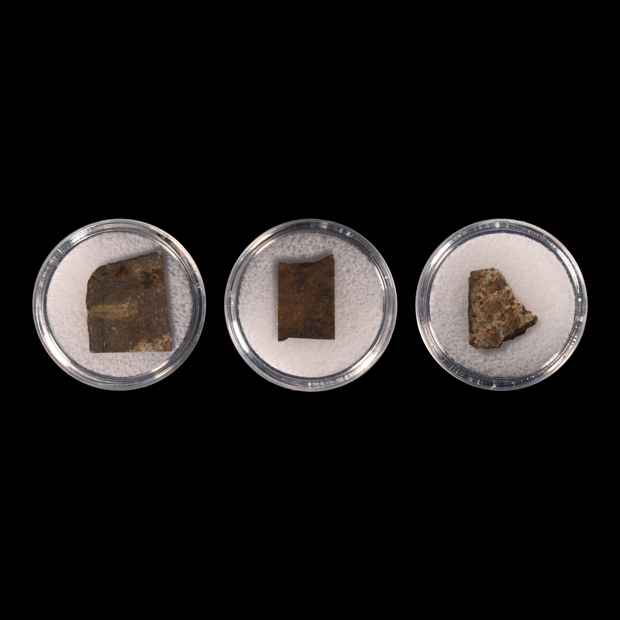 Natural History - NWA 15016 Martian Shergottite Meteorite Slice Collection