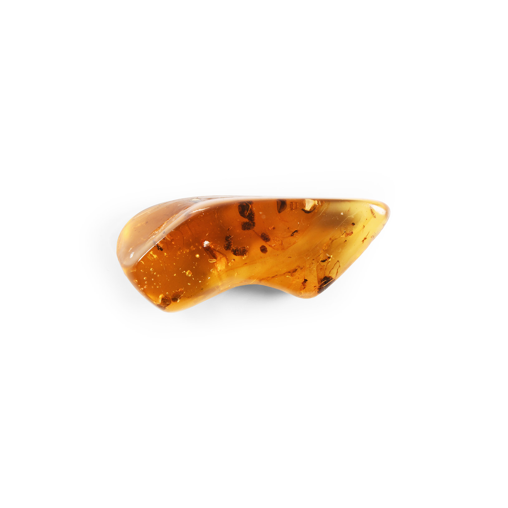Natural History - Large Display Piece of Polished Amber with Insects