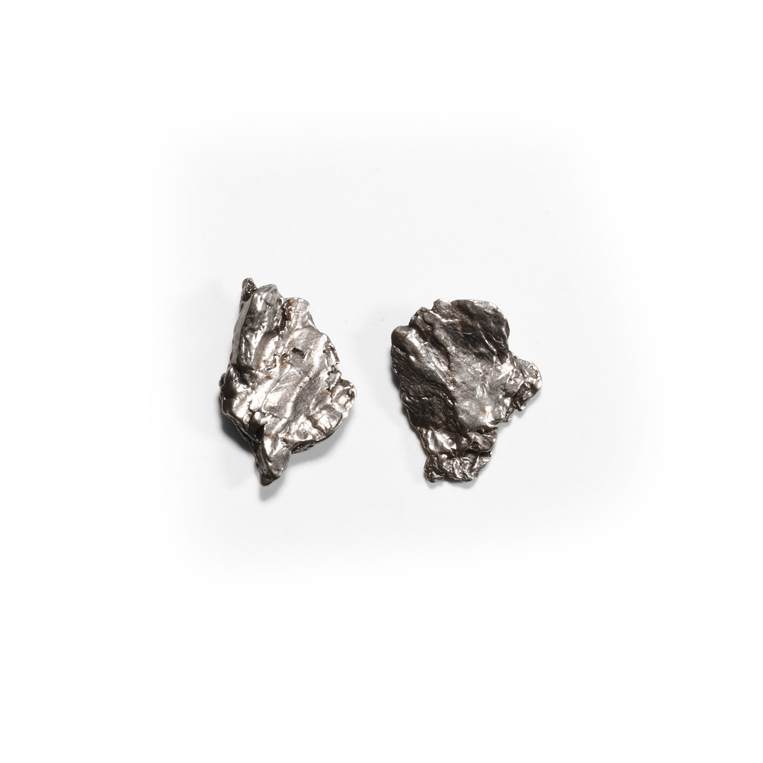 Natural History - Campo del Cielo Meteorite Group