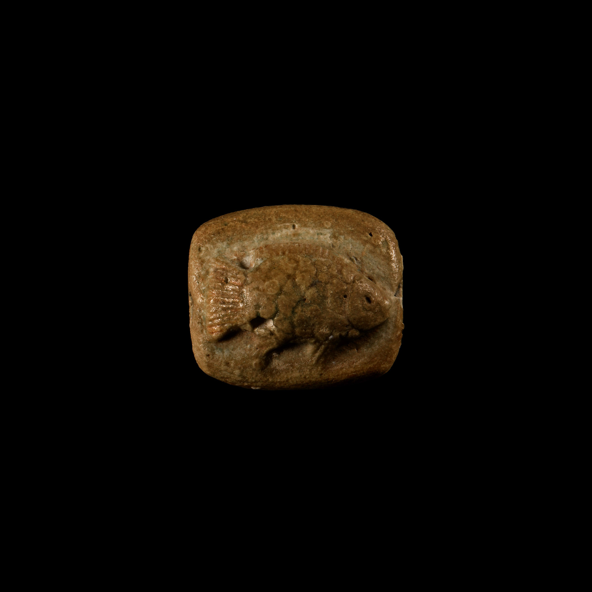 Egyptian Bifacial Steatite Amulet with Tilapia Fish and Hieroglyphs