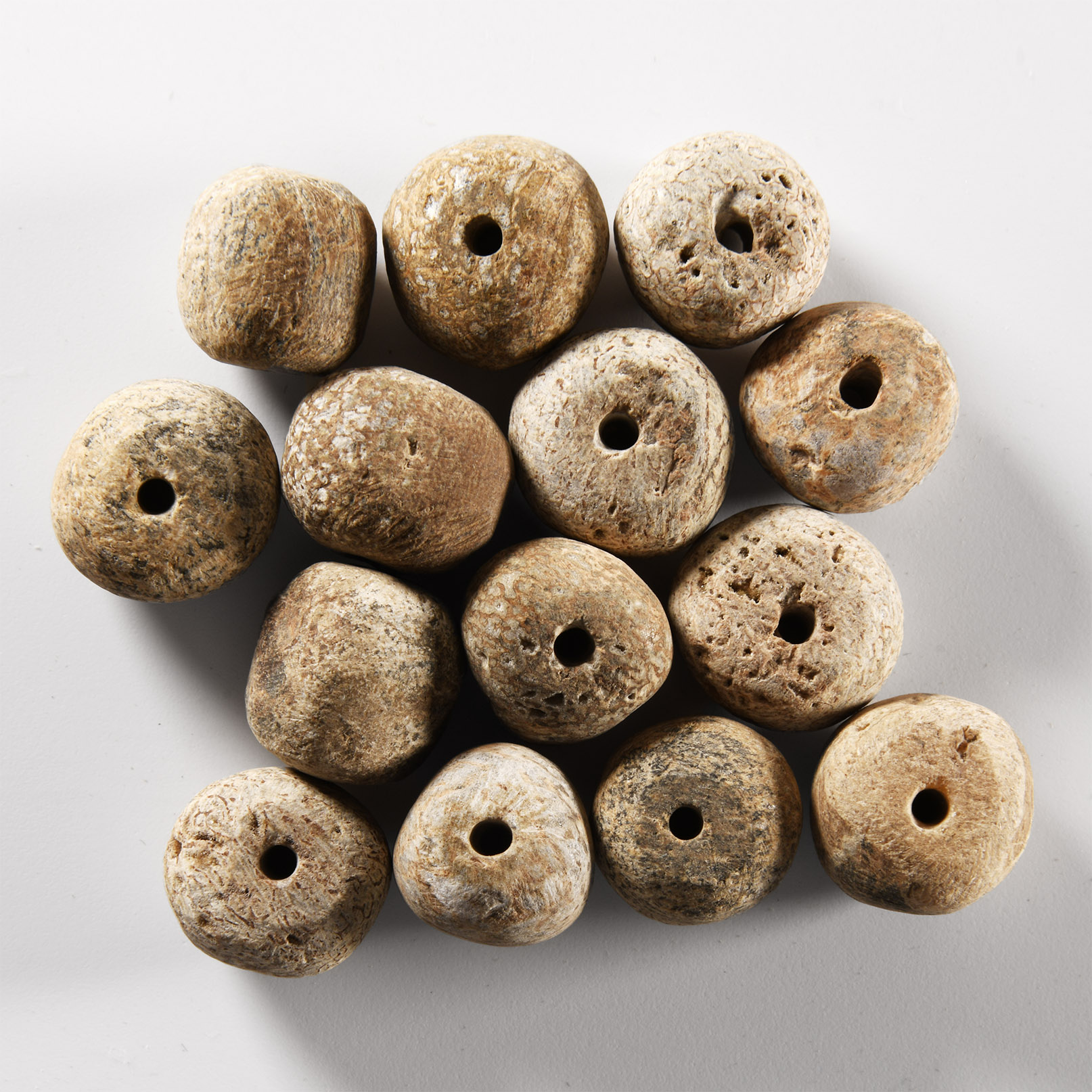 Natural History - Woolly Mammoth Bone Bead Group