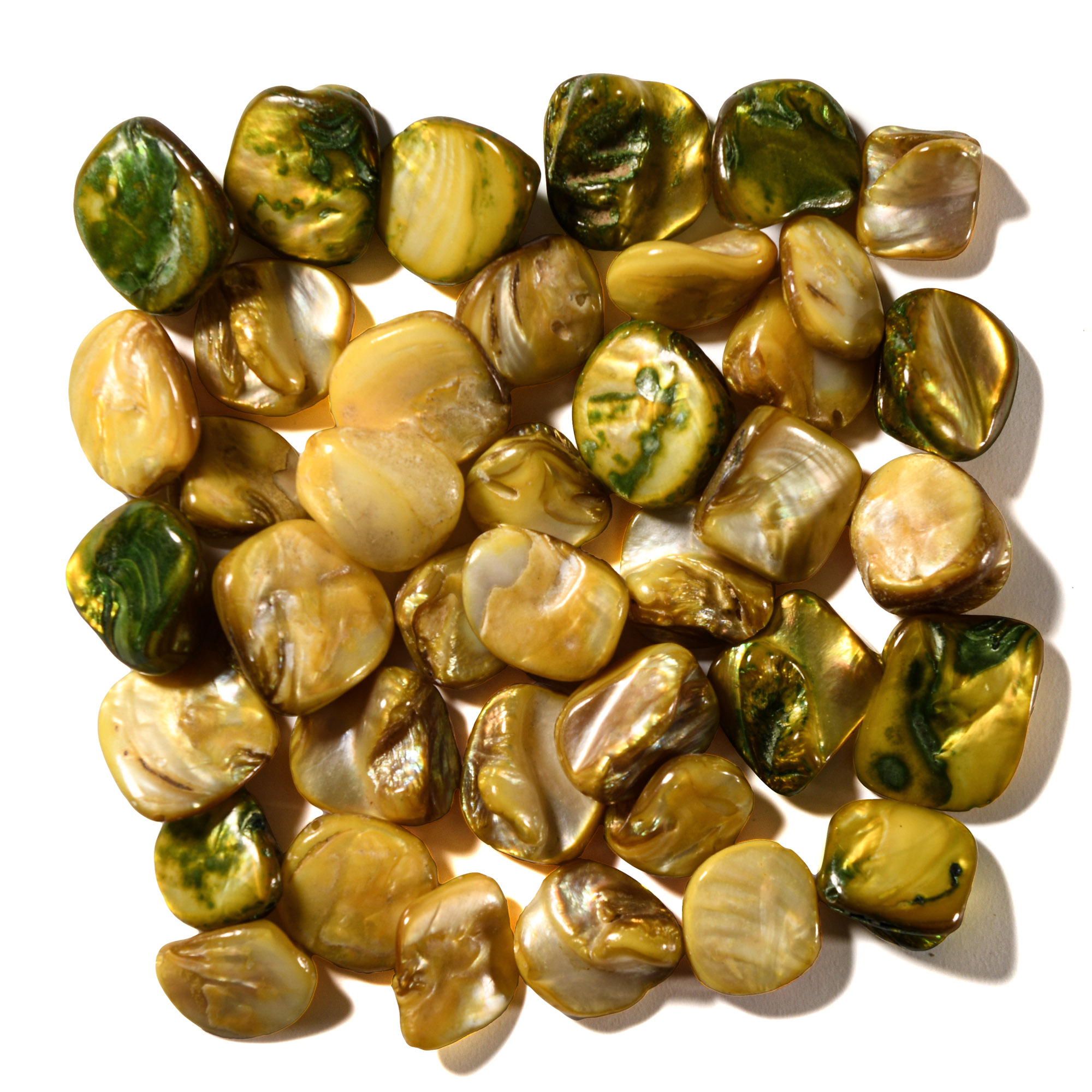 Natural History - Polished Shell Necklace Bead Group