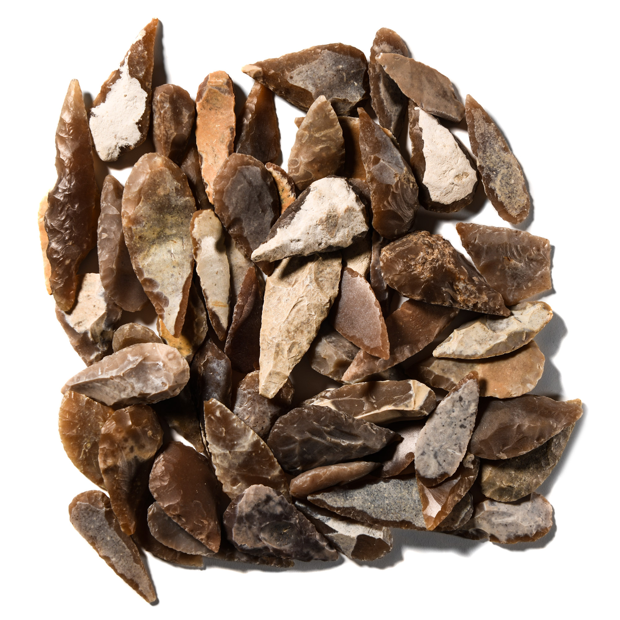 Stone Age Flint Leaf-Shaped Arrowhead Collection