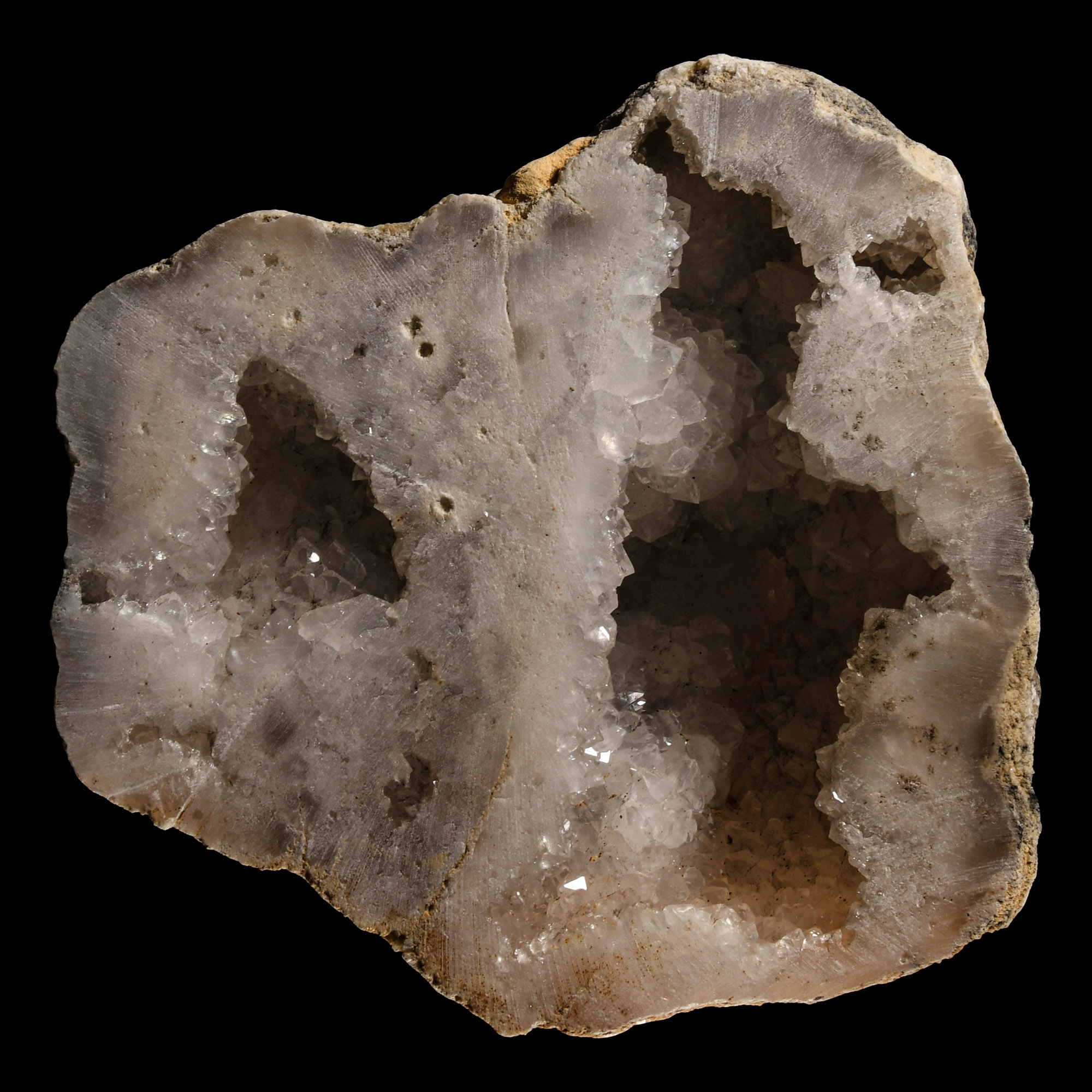 Natural History - Cut and Polished Quartz Crystal Geode Display
