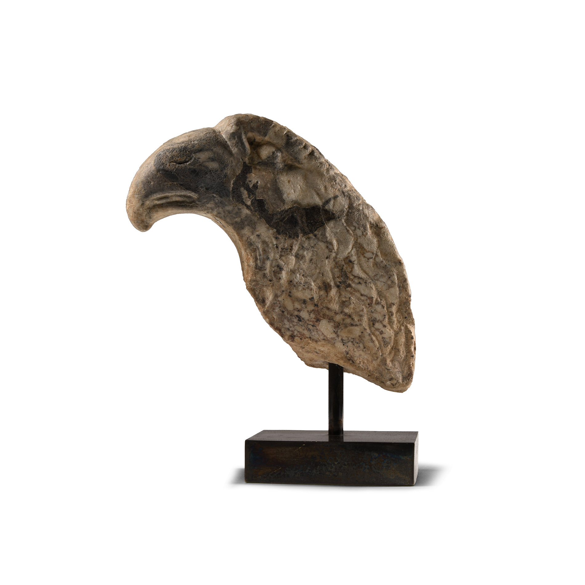 Roman Marble Eagle Head